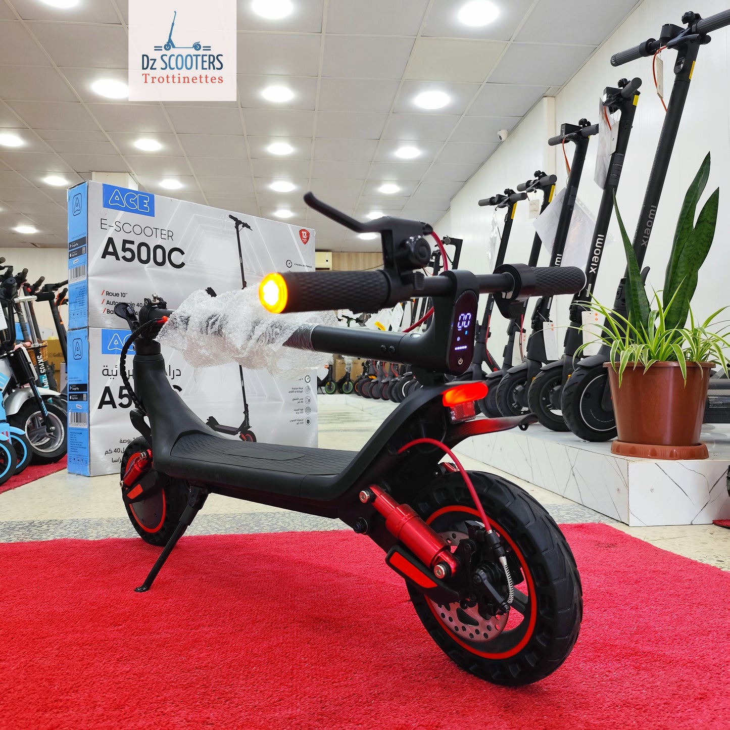 Trottinette Électrique Trotinet ACE A500C i Double Amortisseurs i Prix Choc!