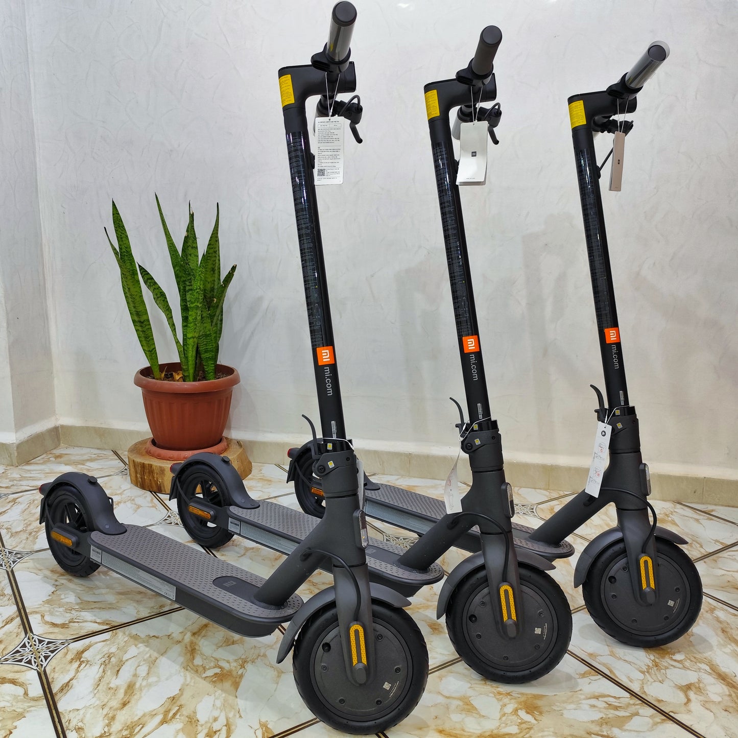 Trottinette Électrique Xiaomi Essential