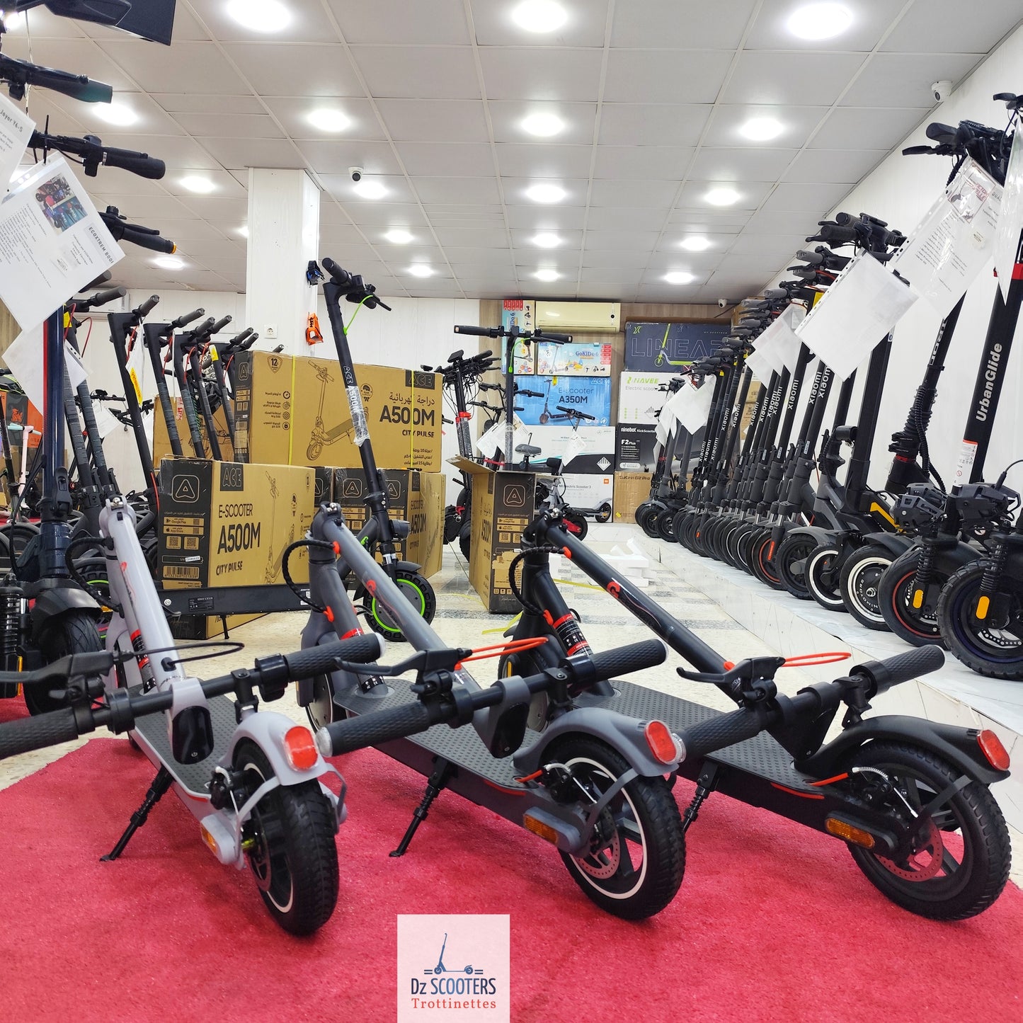 Trottinette Électrique G-SCOOTER S5 Pro