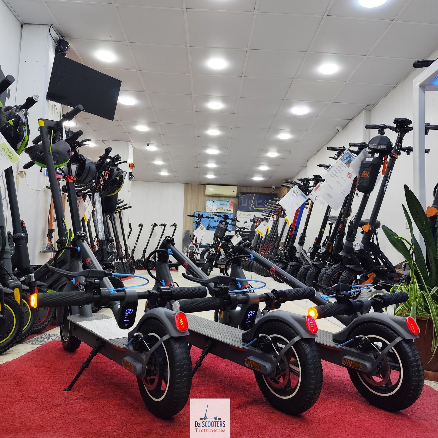Trottinette Électrique Trotinette G-SCOOTER S5 Pro 10" pouces