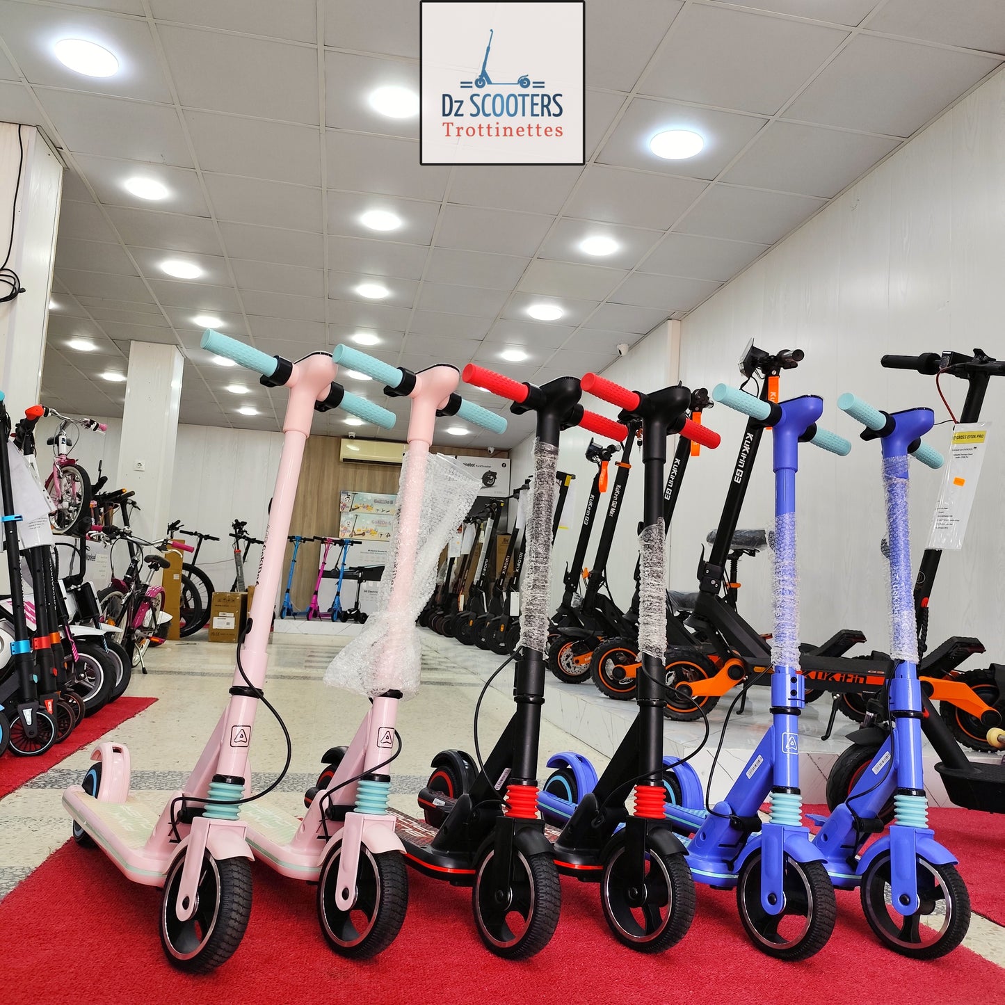 Trottinette Électrique ACE GOKIDO 6 🤸