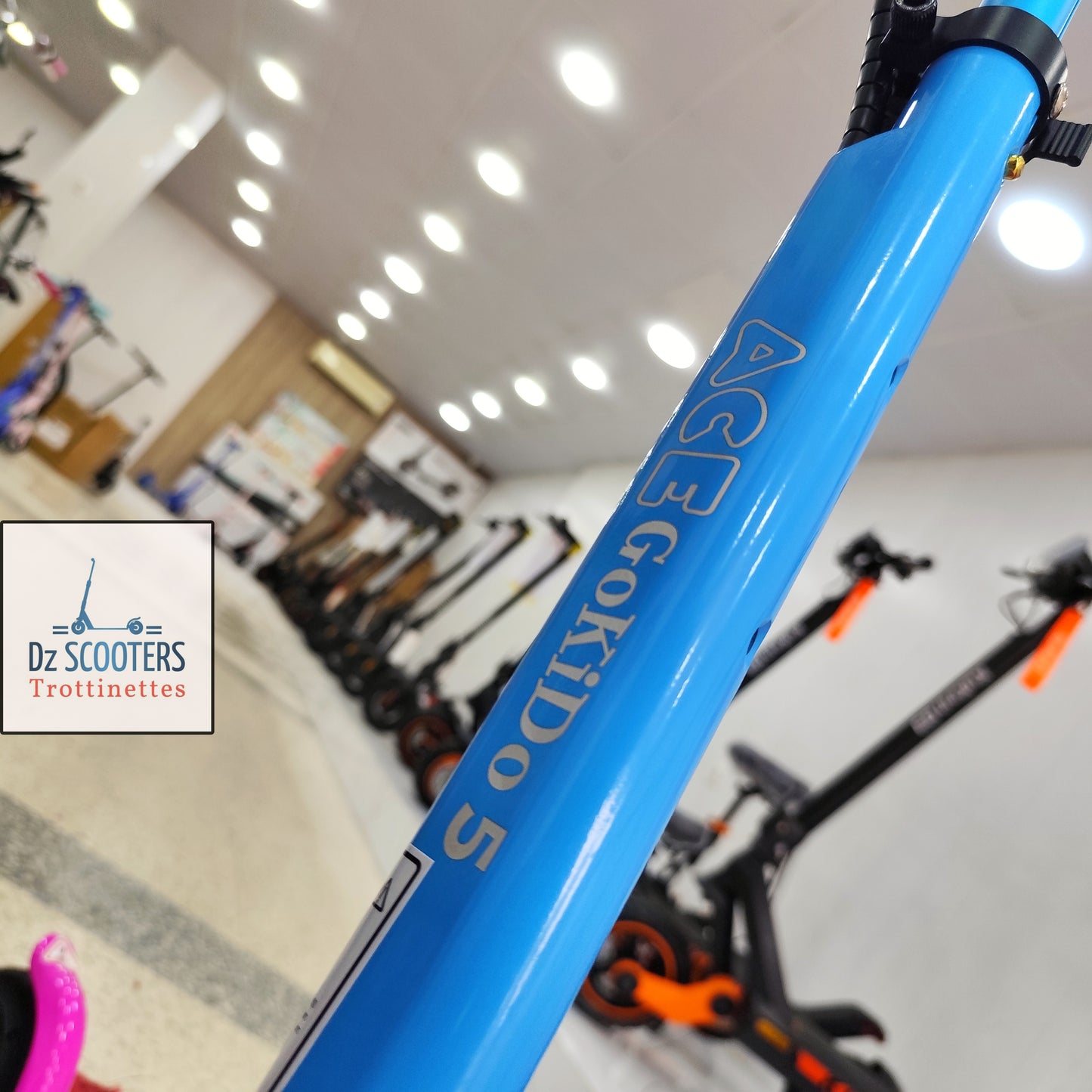 Trottinette Électrique ACE GOKIDO 5 🎁 Enfant