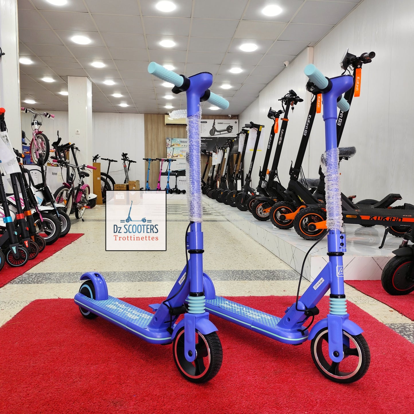 Trottinette Électrique ACE GOKIDO 6 🤸