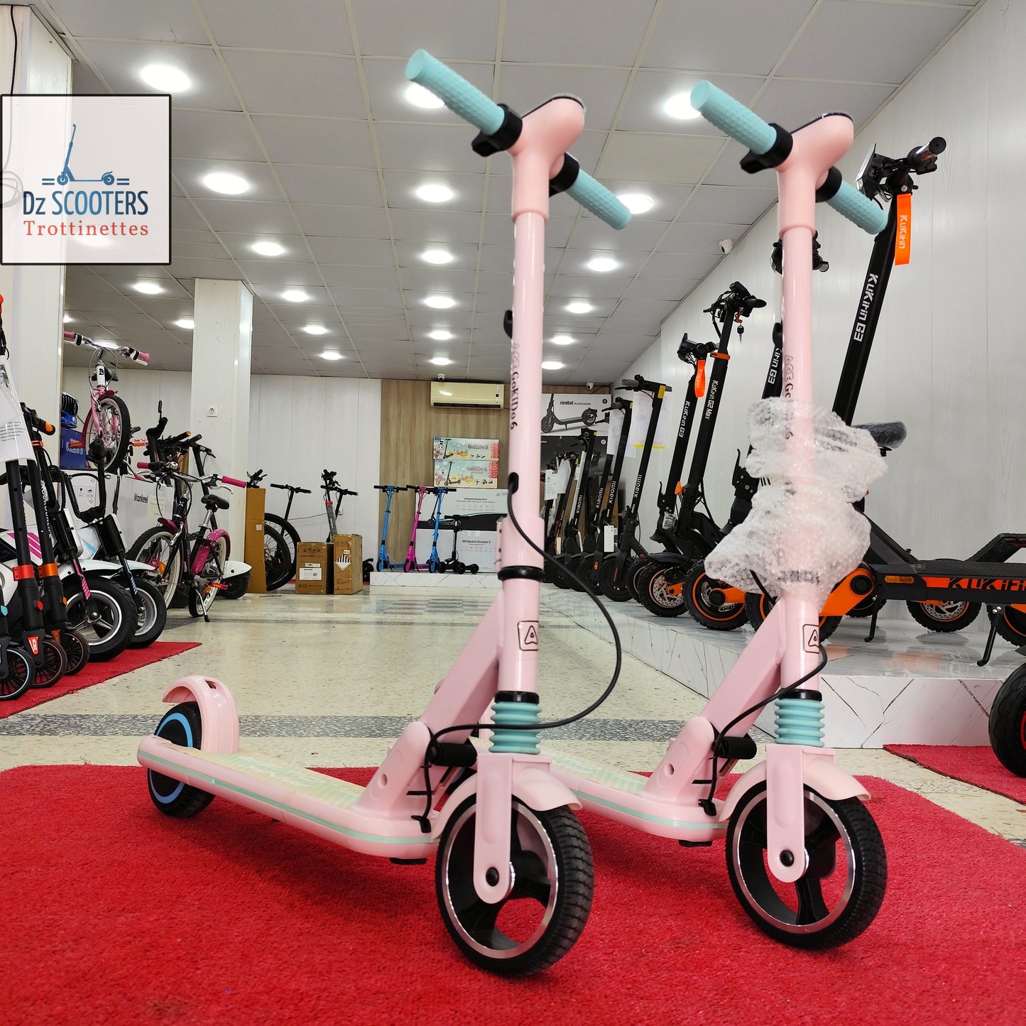 Trottinette Électrique ACE GOKIDO 6 🤸