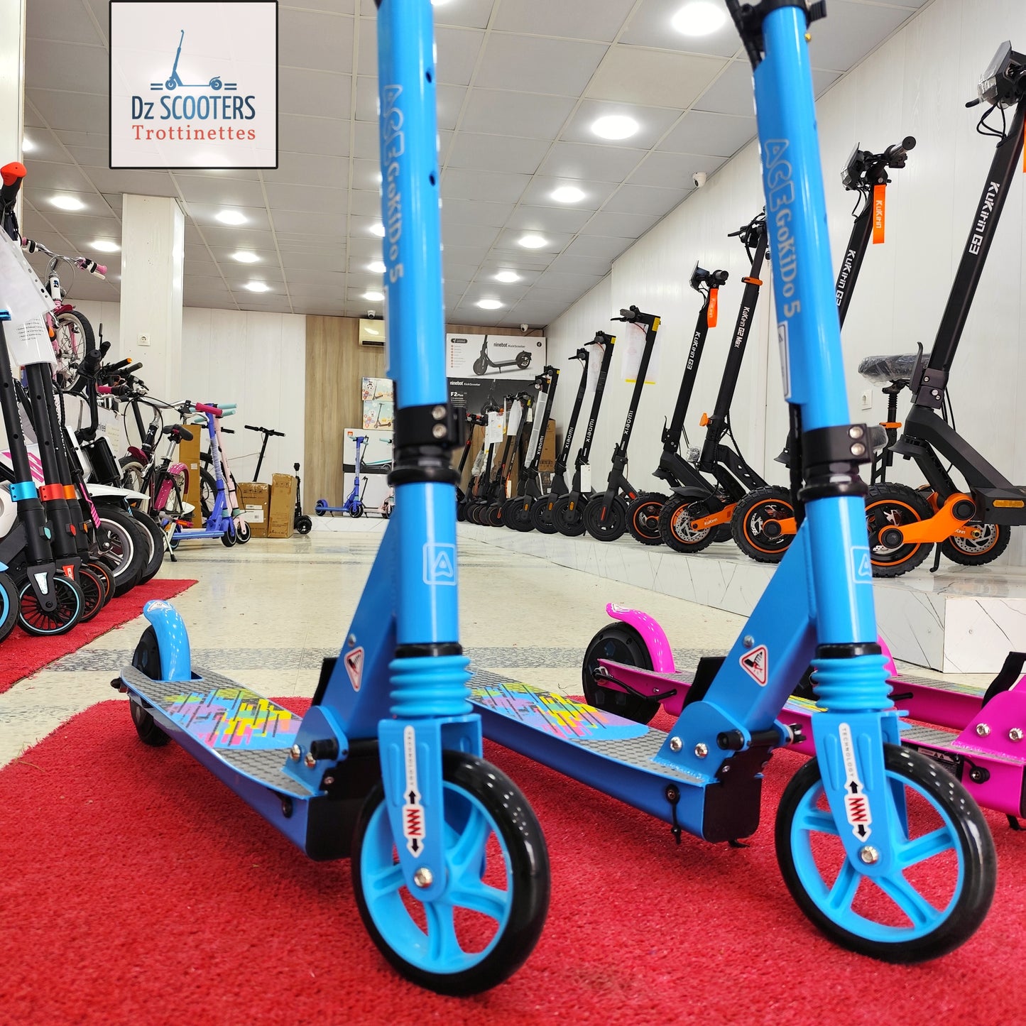 Trottinette Électrique ACE GOKIDO 5 🎁 Enfant