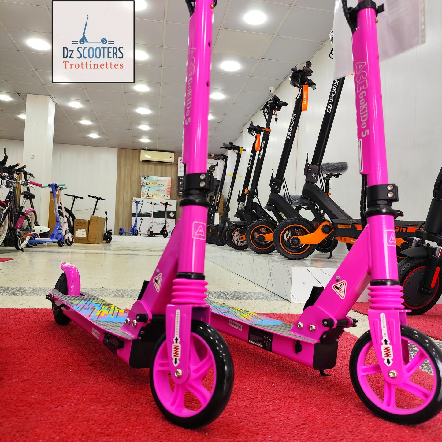 Trottinette Électrique ACE GOKIDO 5 🎁 Enfant