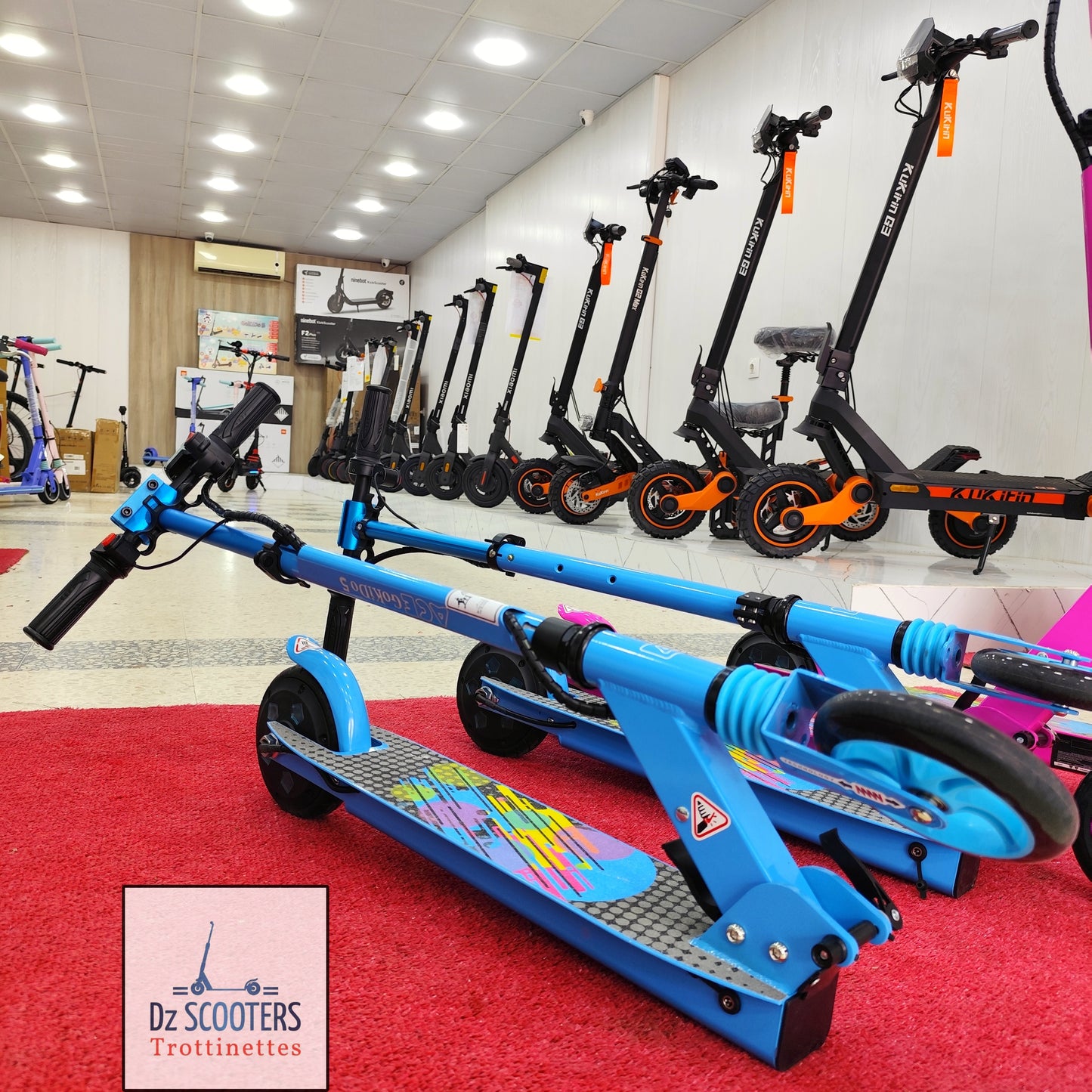 Trottinette Électrique ACE GOKIDO 5 🎁 Enfant
