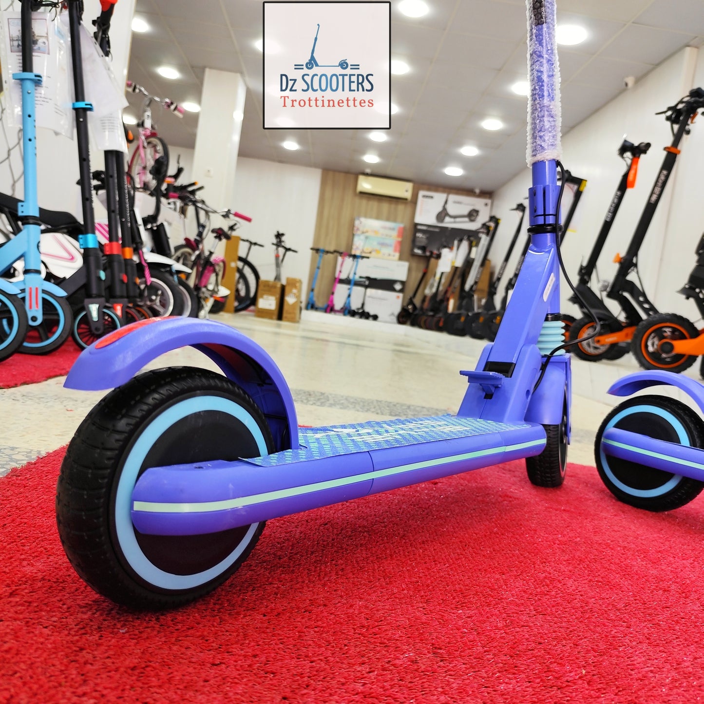 Trottinette Électrique ACE GOKIDO 6 🤸