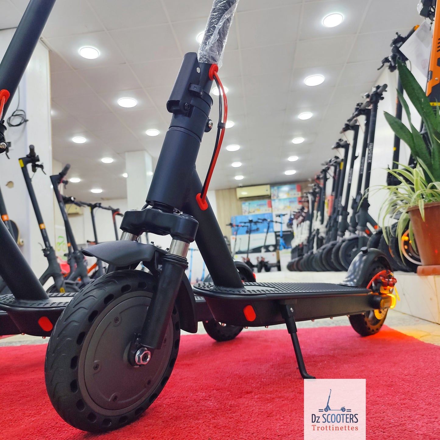 Trottinette Électrique QUASMAX QS BOOST 🚨 Prix CHOC !
