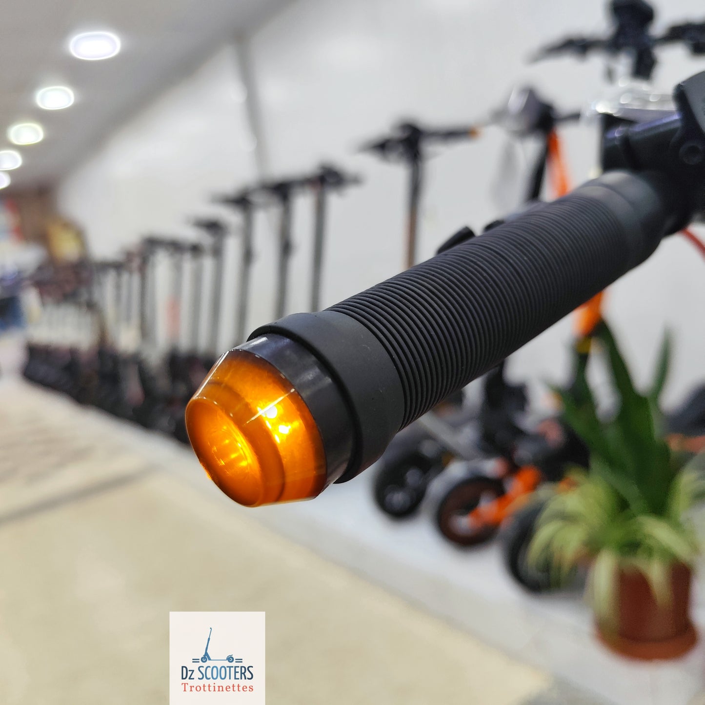 Trottinette Électrique QUASMAX QS BOOST 🚨 Prix CHOC !