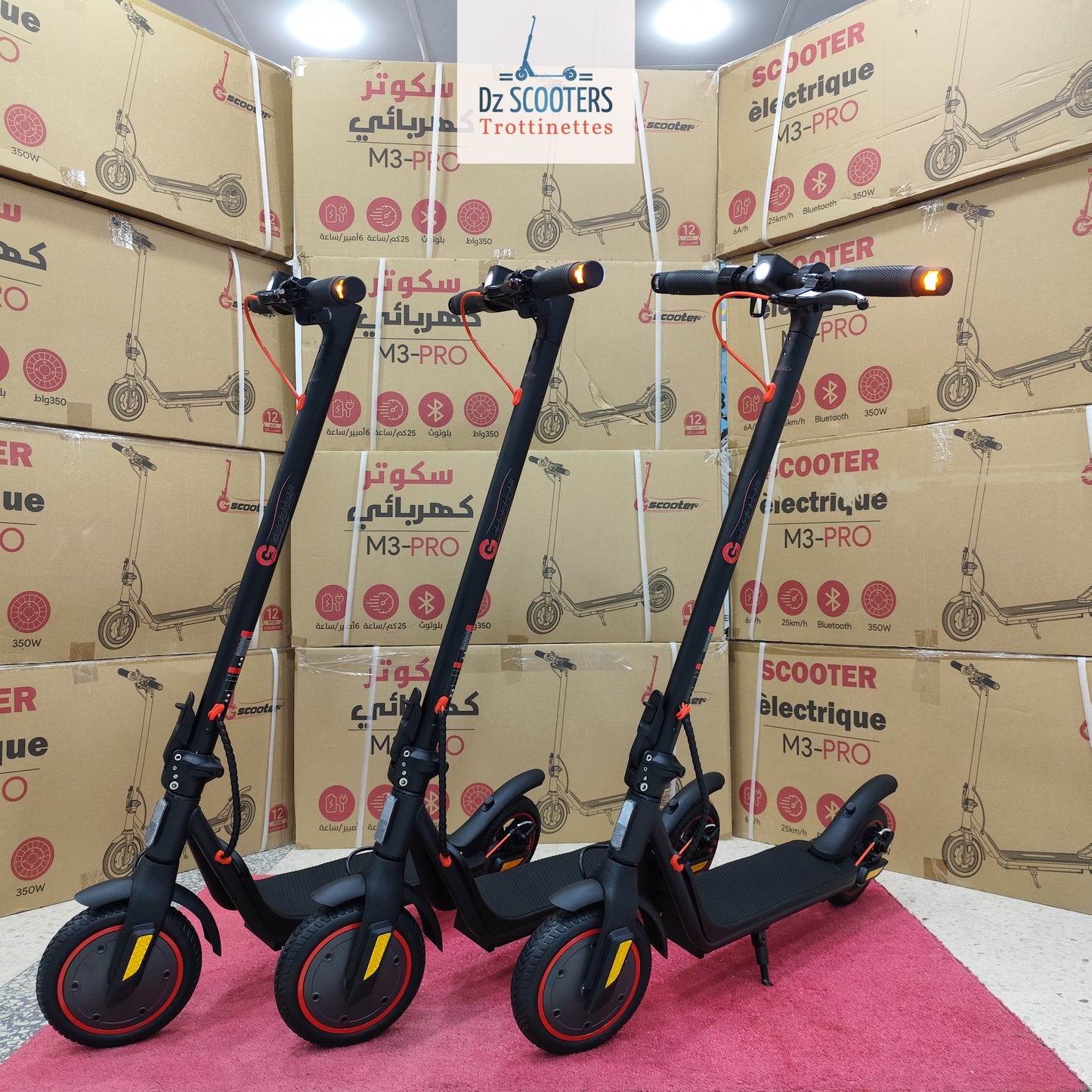 Trottinette Électrique G SCOOTER 🛴 M3 PRO 🚨 PROMOTION !