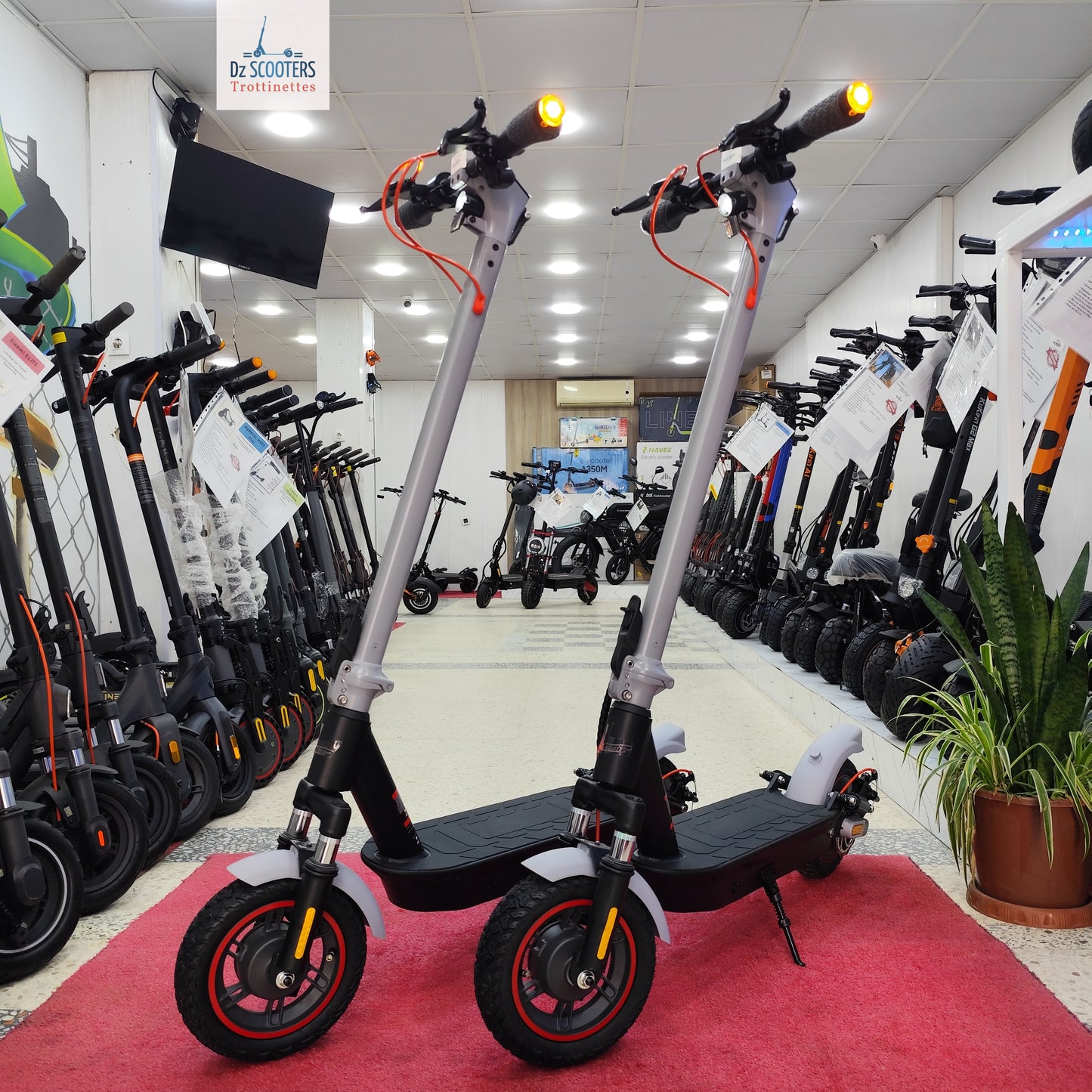 Trottinette Électrique Trotinette G-SCOOTER GS 5 Pro i Promotion!