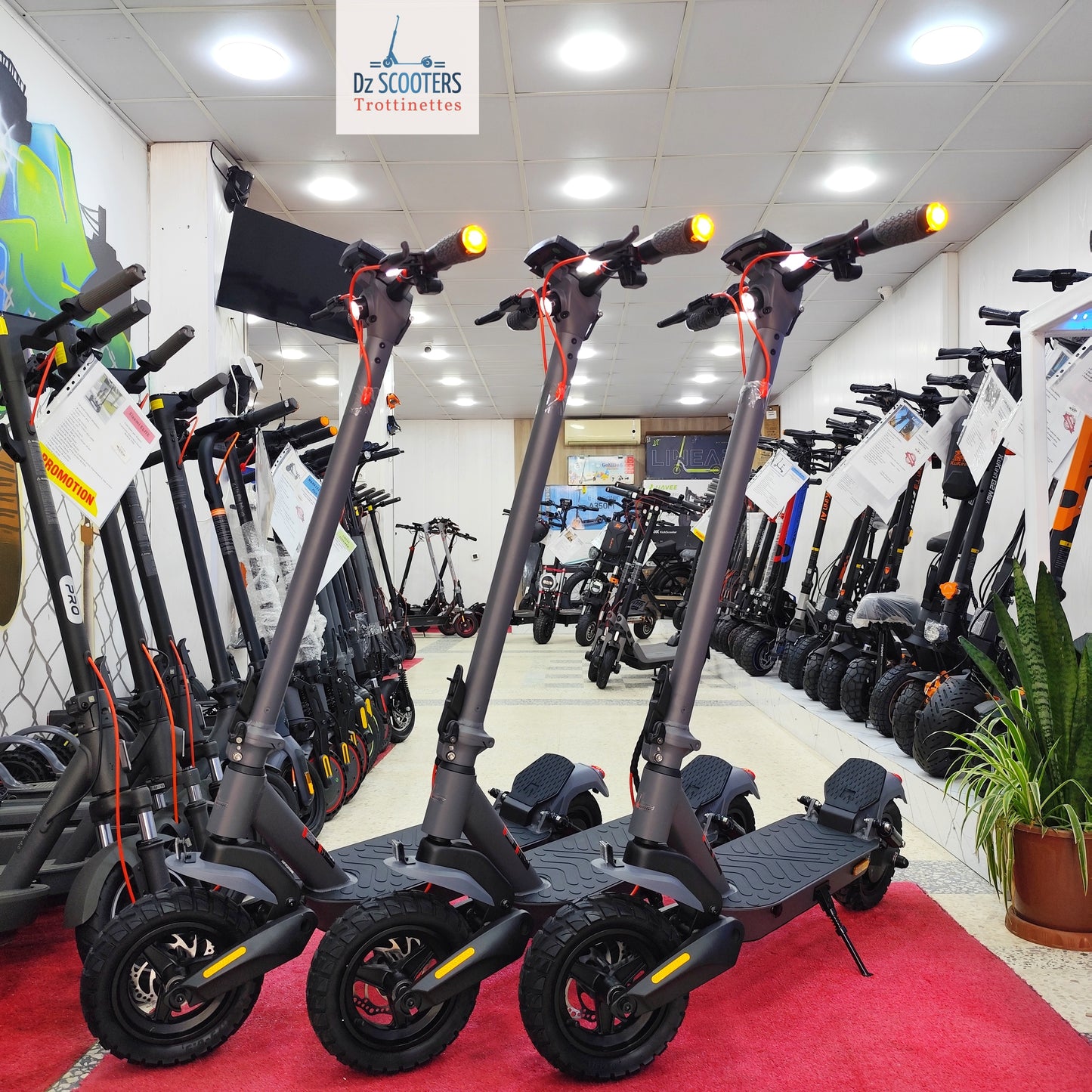 Trottinette Électrique Trotinette G-SCOOTER ULTRA i Promotion!