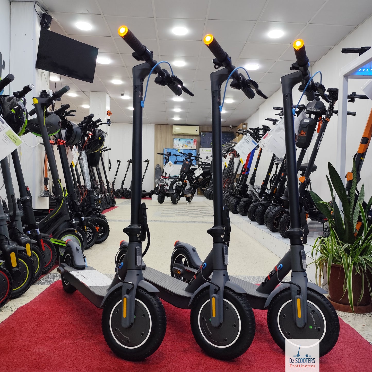 Trottinette Électrique Trotinette G-SCOOTER S5 Pro 10" pouces