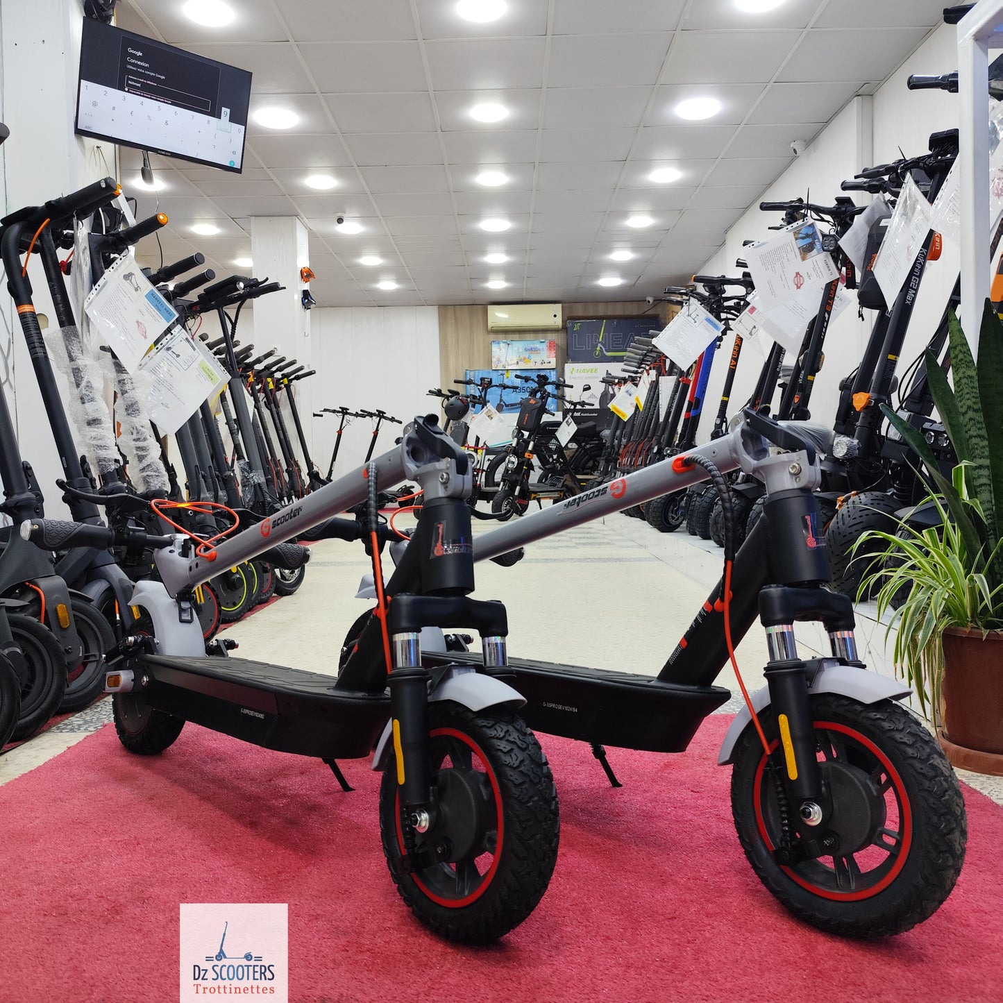 Trottinette Électrique Trotinette G-SCOOTER GS 5 Pro i Promotion!