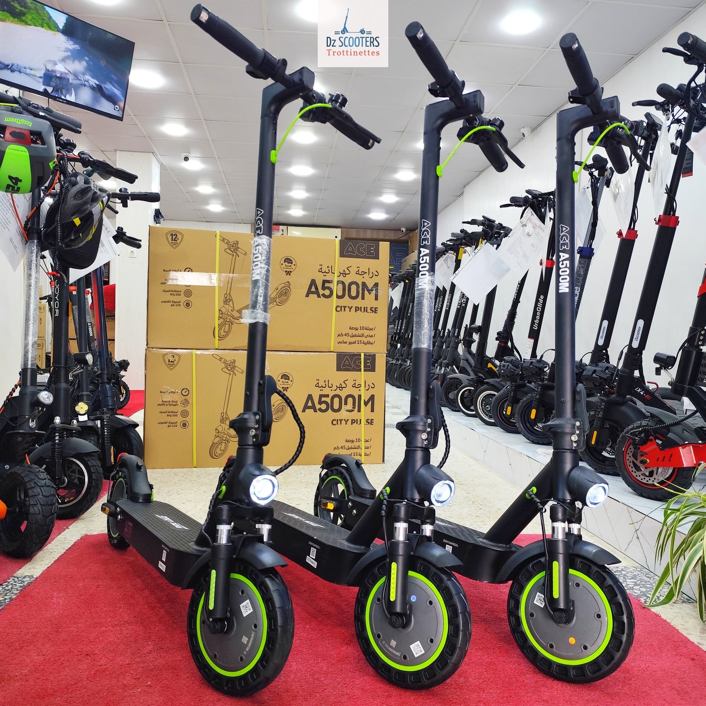 Trottinette Électrique ACE A500M