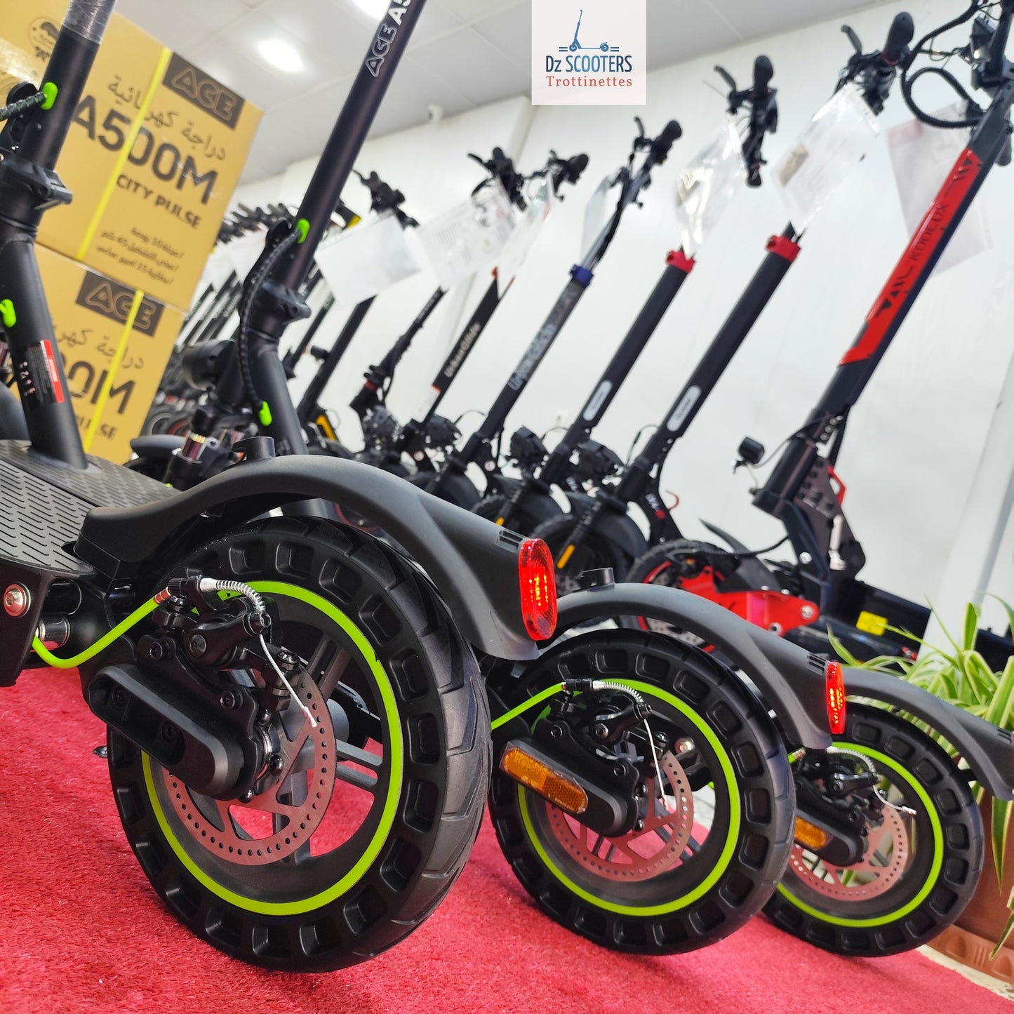 Trottinette Électrique ACE A500M