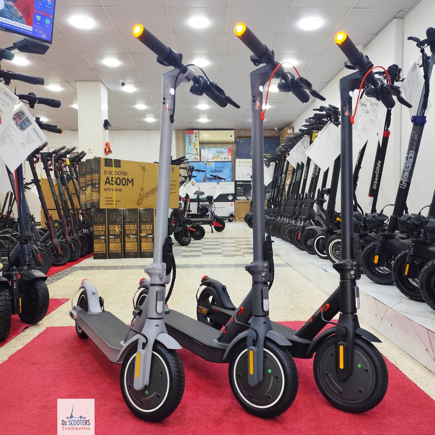 Trottinette Électrique G-SCOOTER S5 Pro
