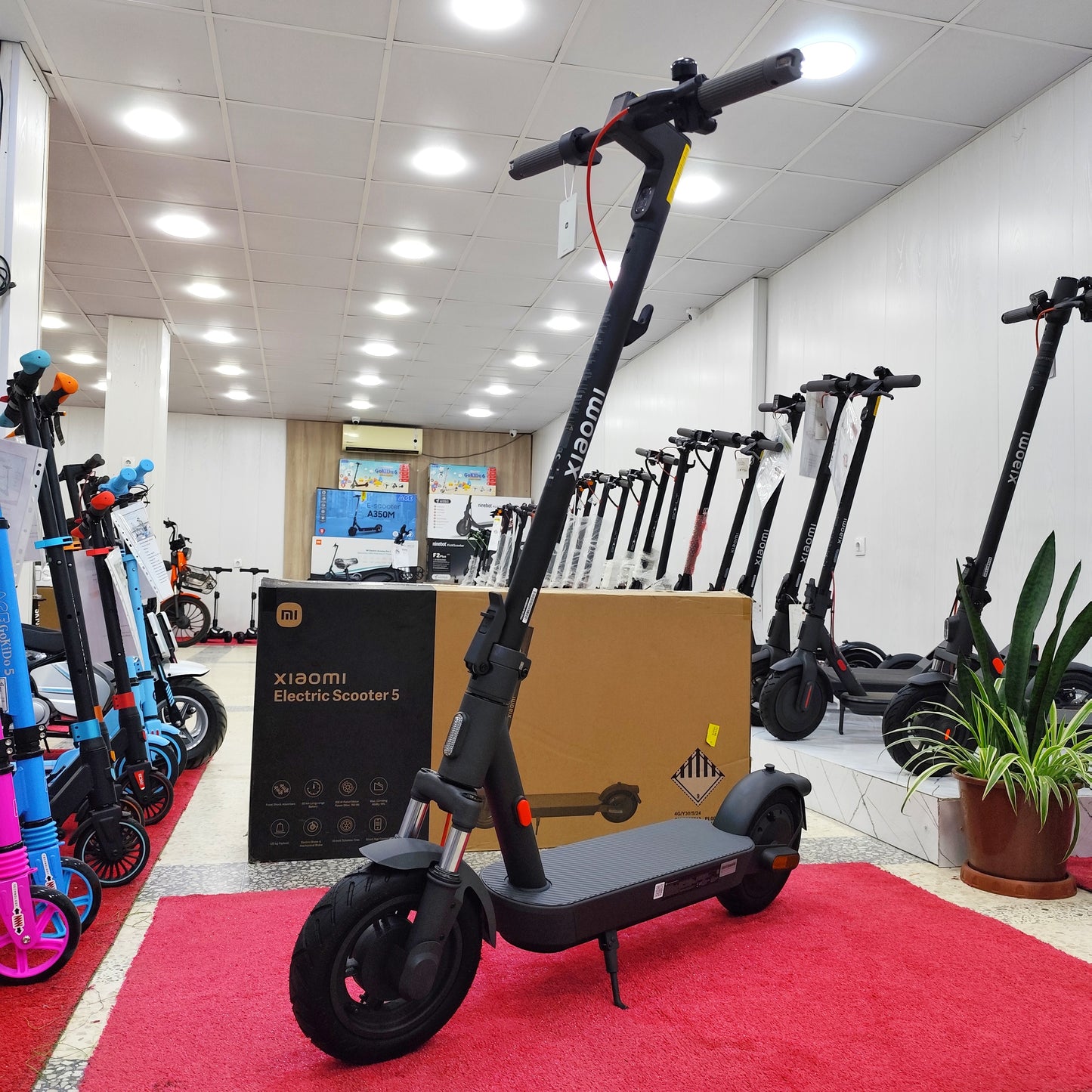 Trottinette Électrique Xiaomi 5 | Jamais Utilisé