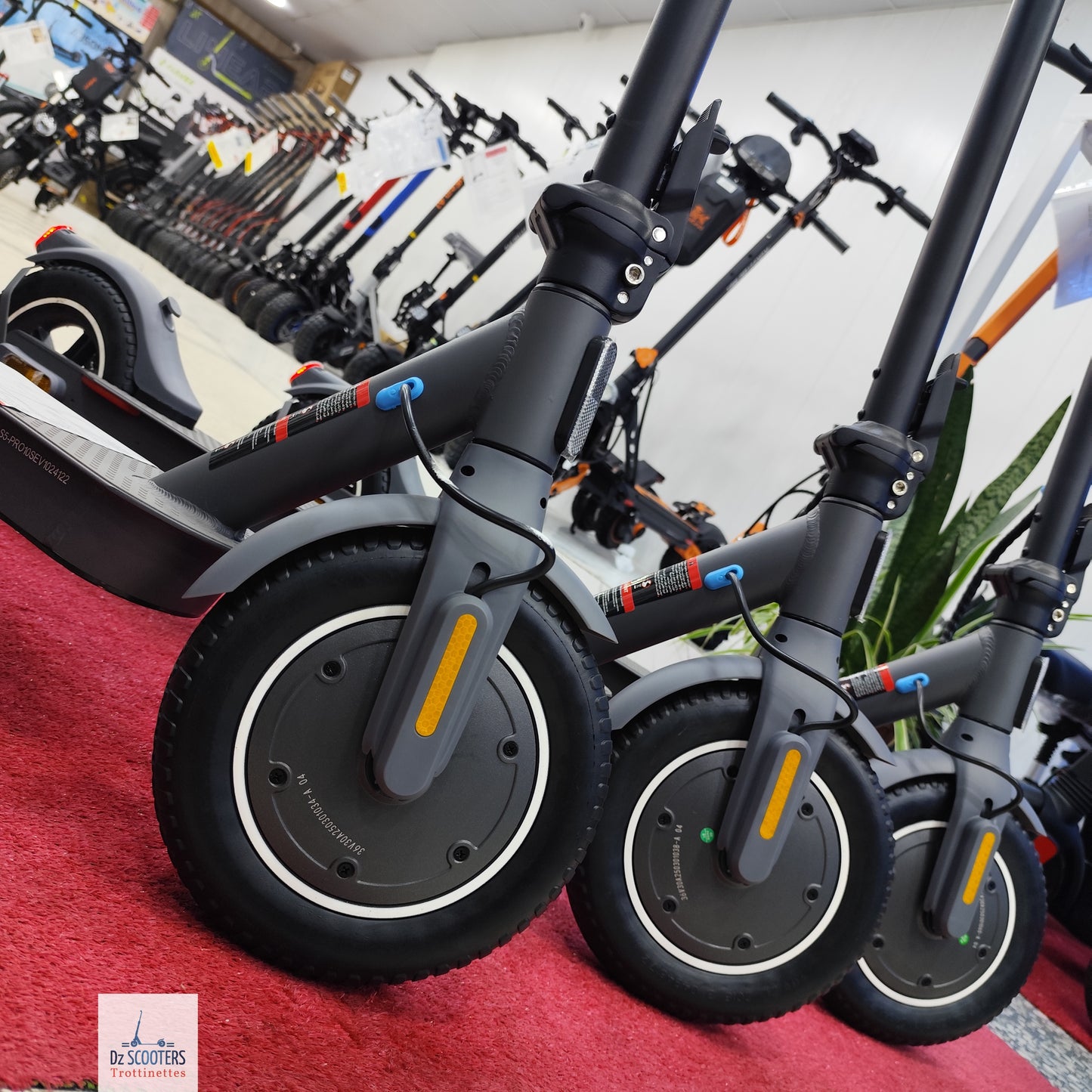 Trottinette Électrique Trotinette G-SCOOTER S5 Pro 10" pouces