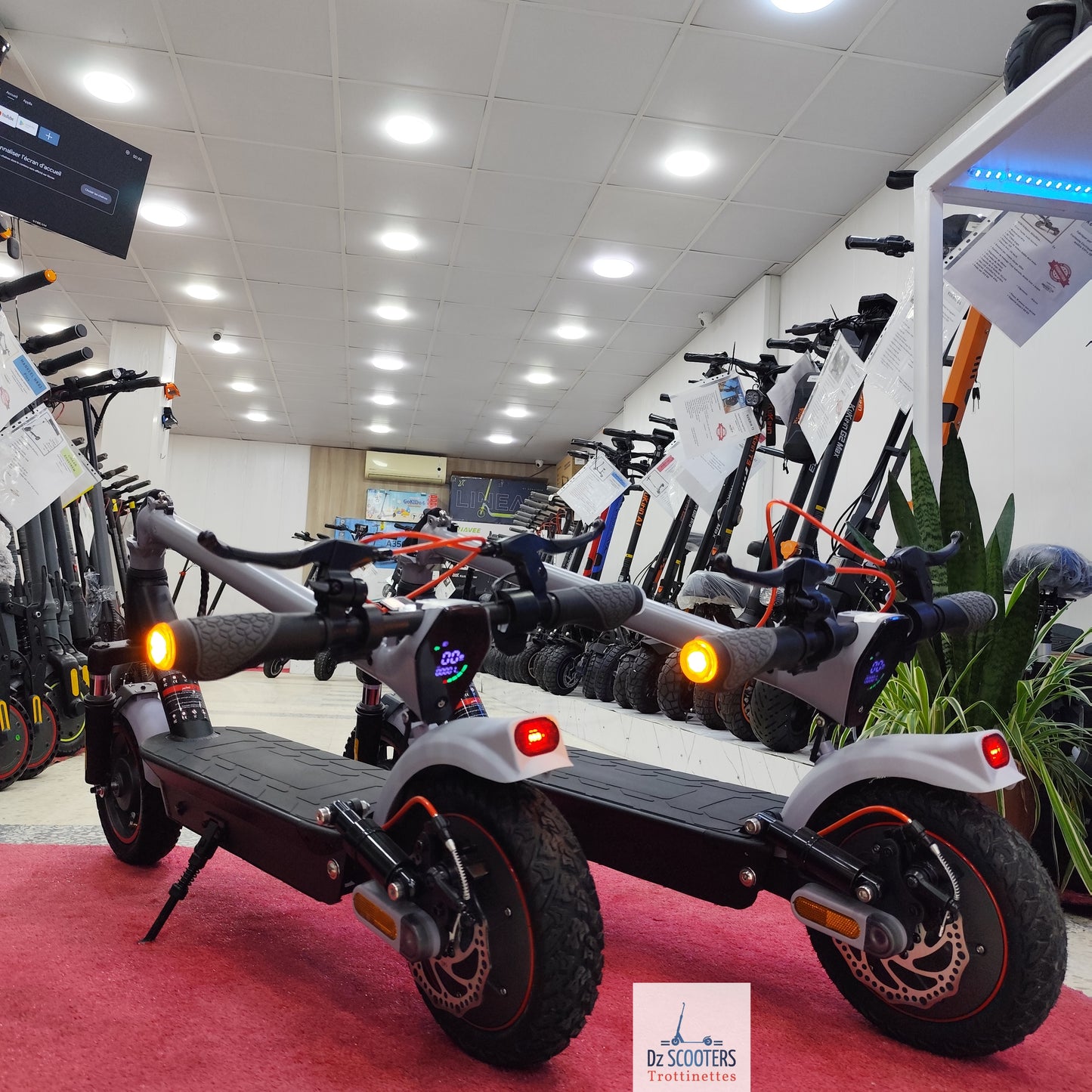 Trottinette Électrique Trotinette G-SCOOTER GS 5 Pro i Promotion!