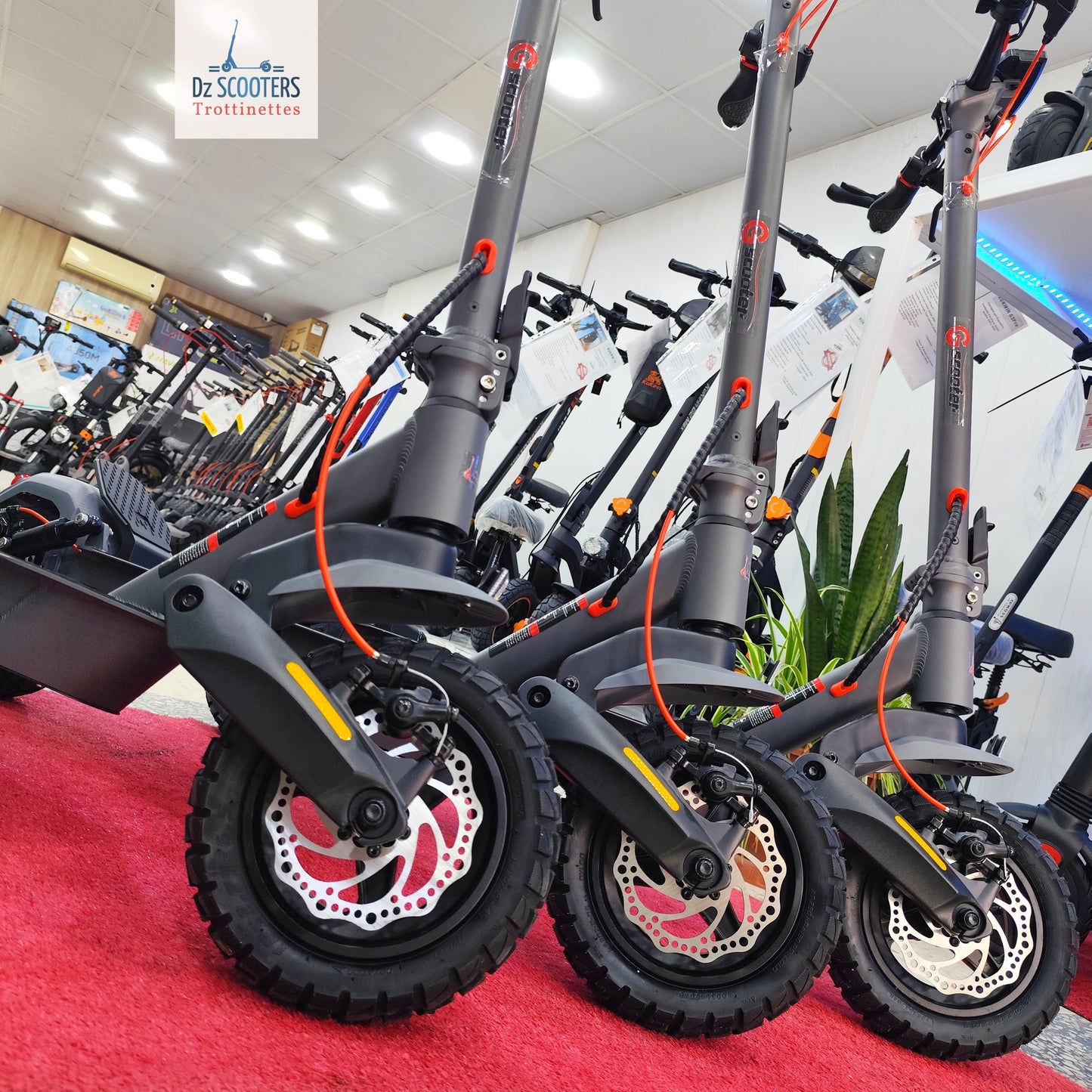 Trottinette Électrique Trotinette G-SCOOTER ULTRA i Promotion!