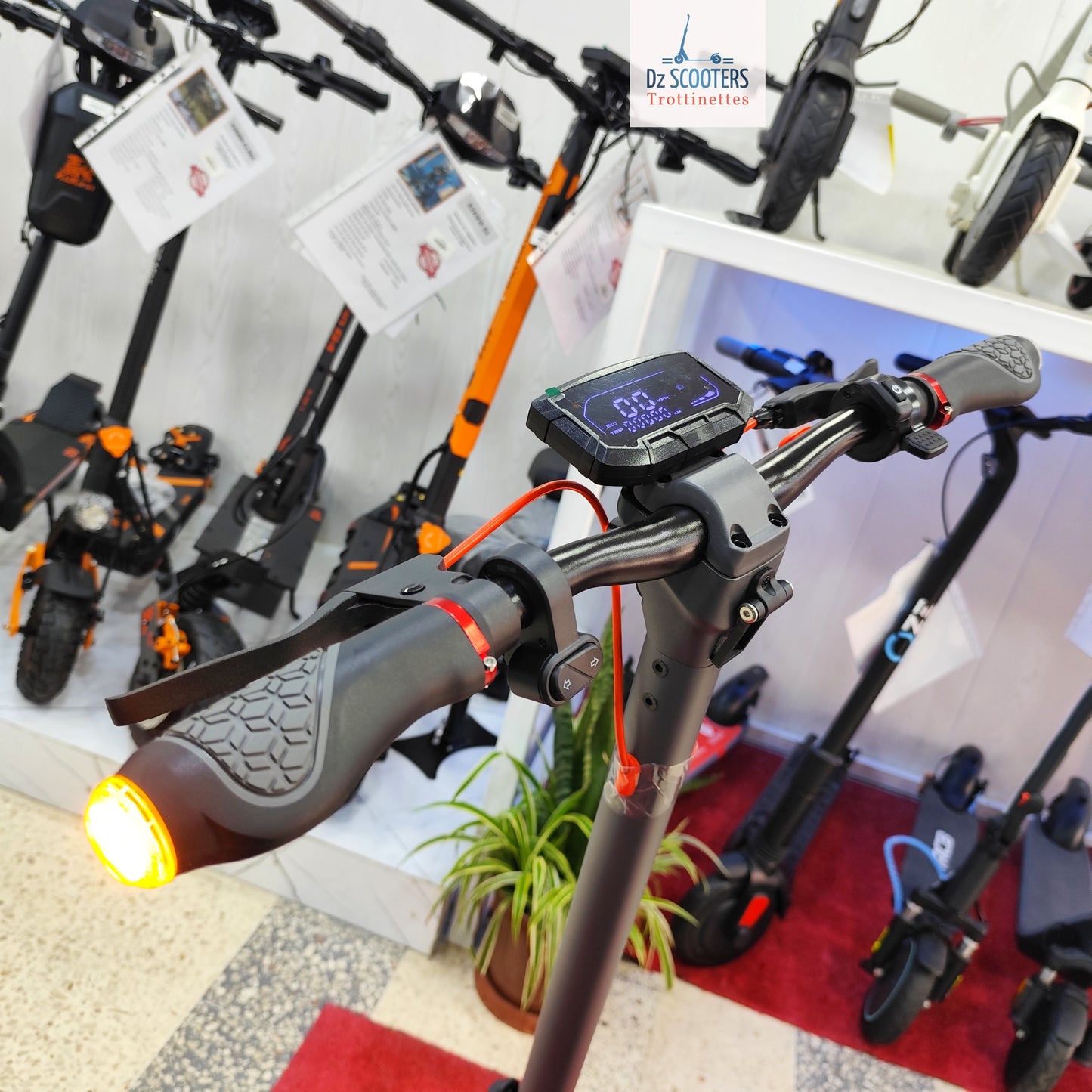 Trottinette Électrique Trotinette G-SCOOTER ULTRA i Promotion!