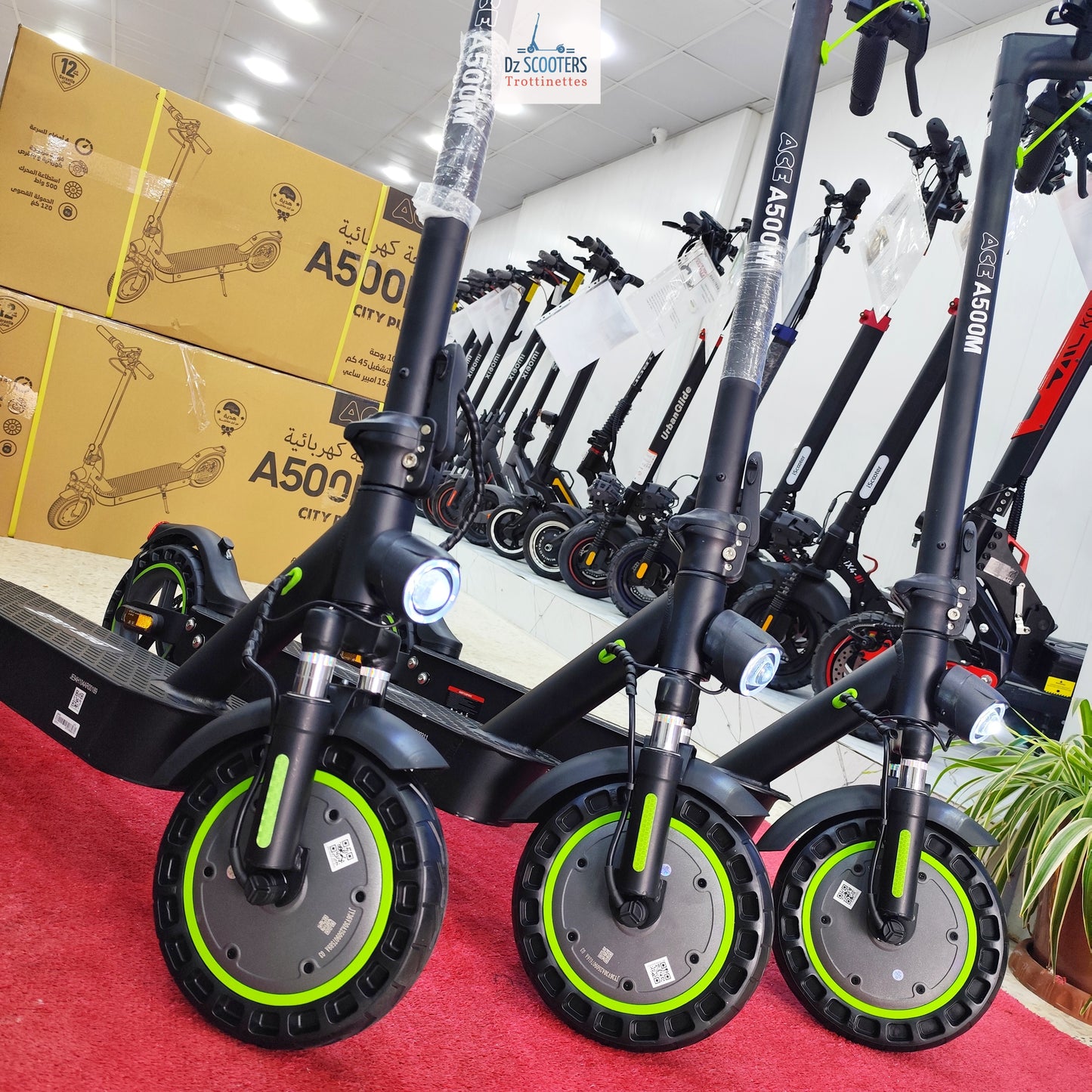 Trottinette Électrique ACE A500M