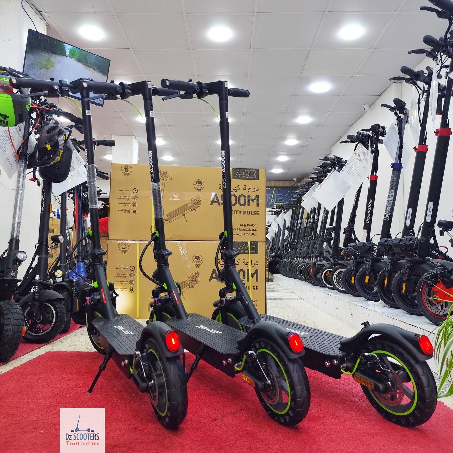 Trottinette Électrique ACE A500M
