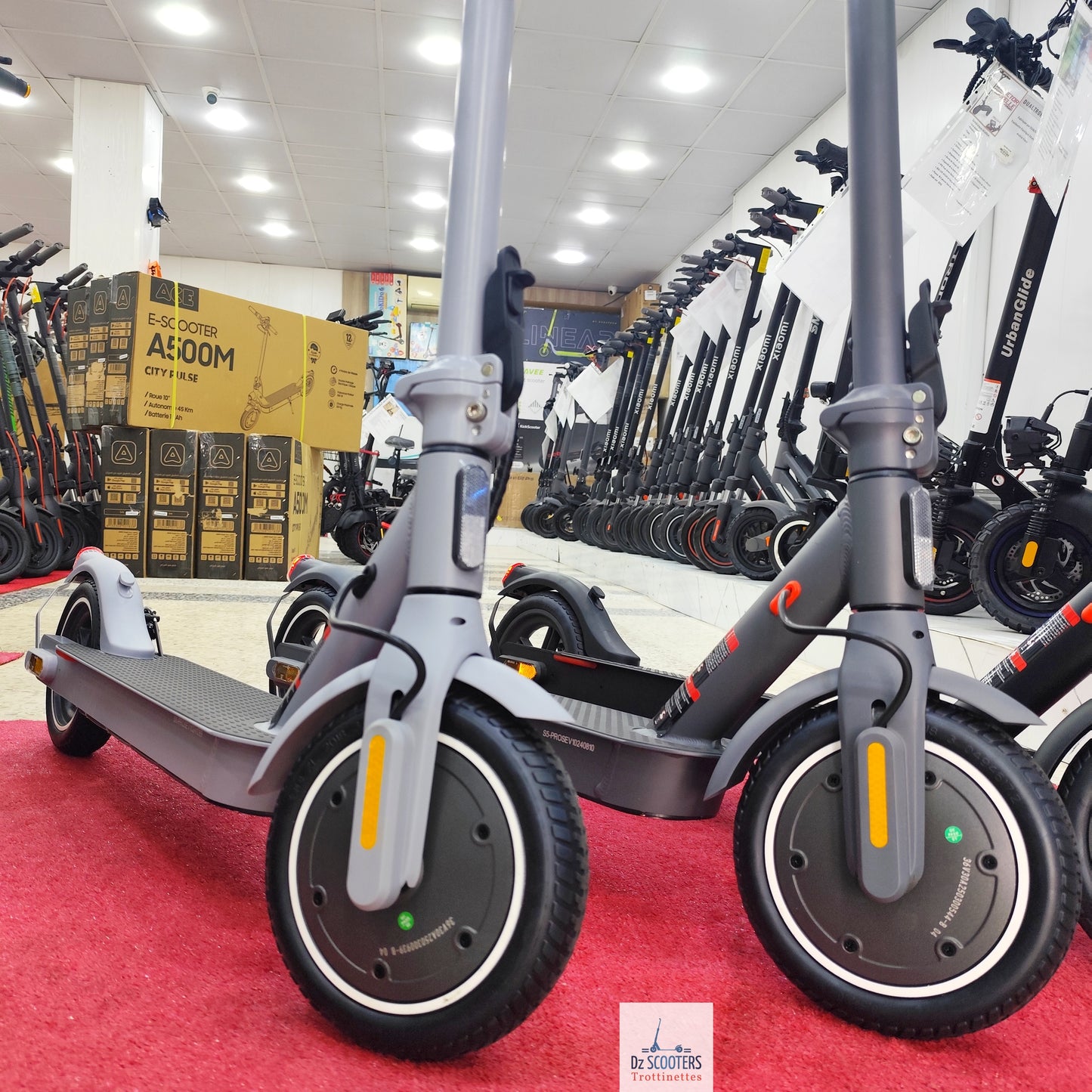 Trottinette Électrique G-SCOOTER S5 Pro