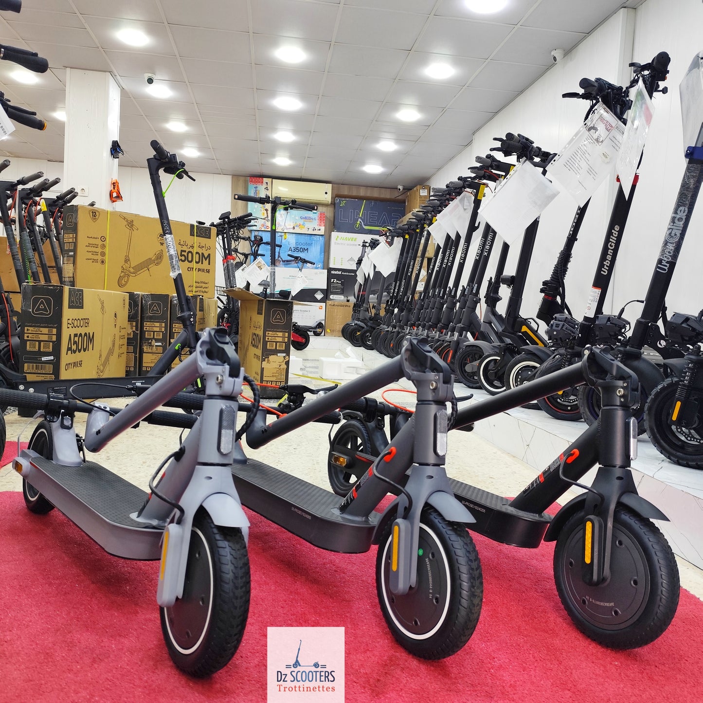 Trottinette Électrique G-SCOOTER S5 Pro