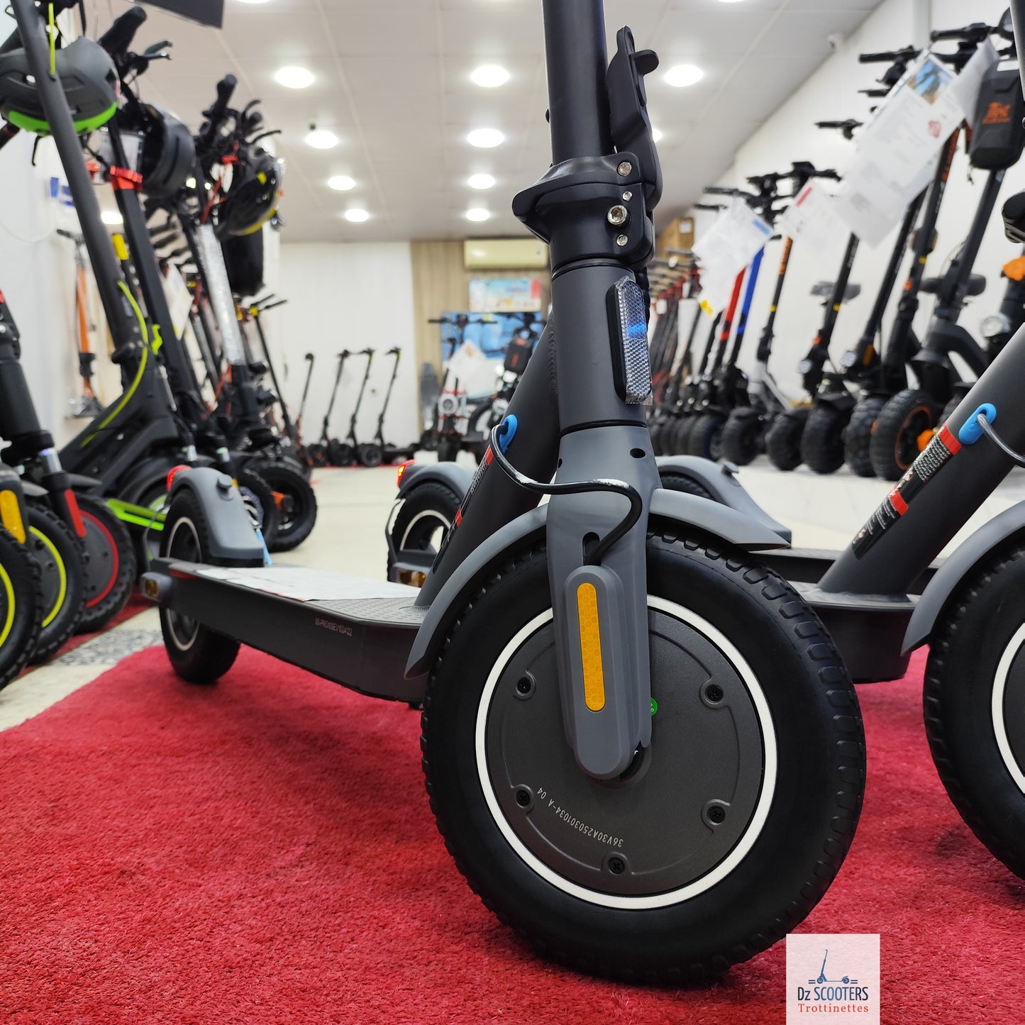 Trottinette Électrique Trotinette G-SCOOTER S5 Pro 10" pouces