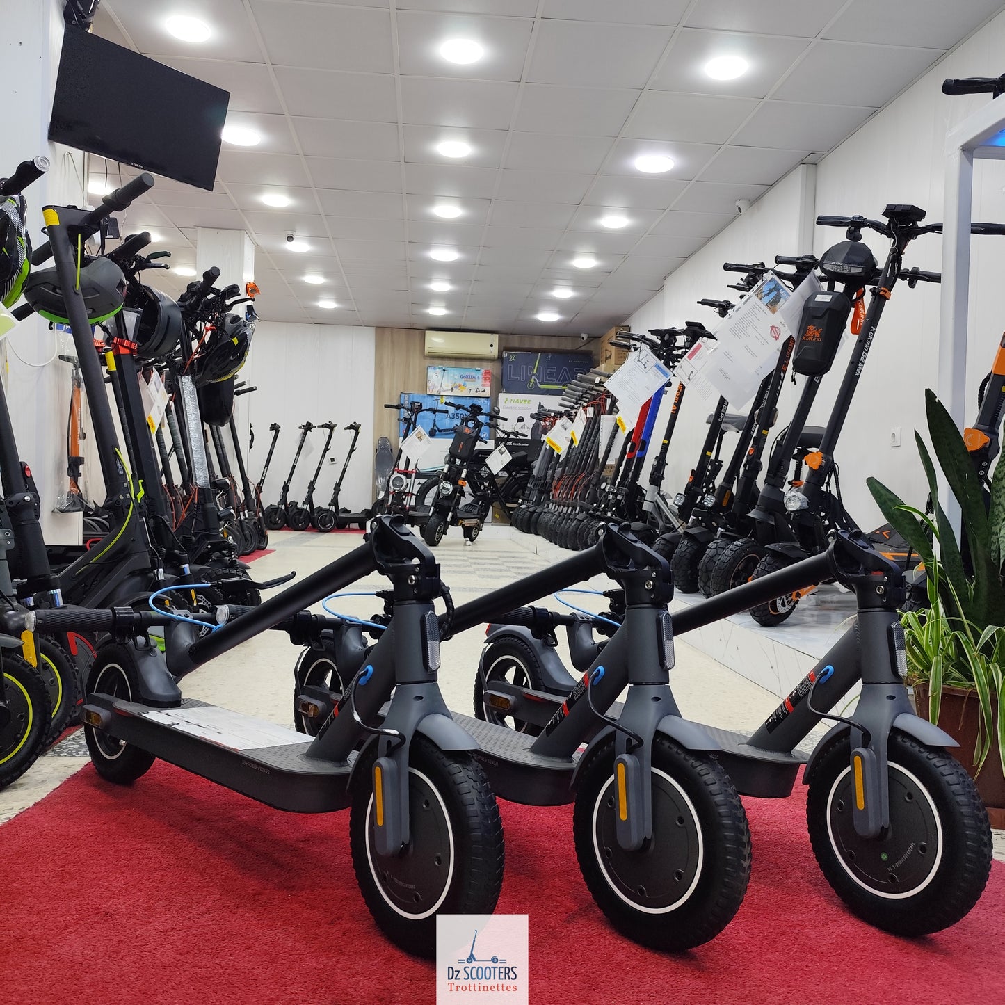 Trottinette Électrique Trotinette G-SCOOTER S5 Pro 10" pouces