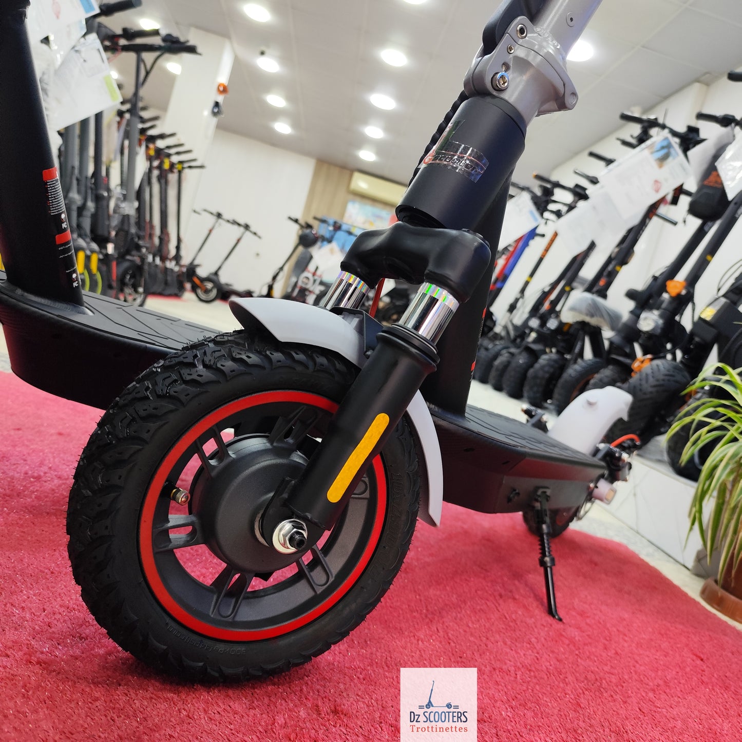 Trottinette Électrique Trotinette G-SCOOTER GS 5 Pro i Promotion!
