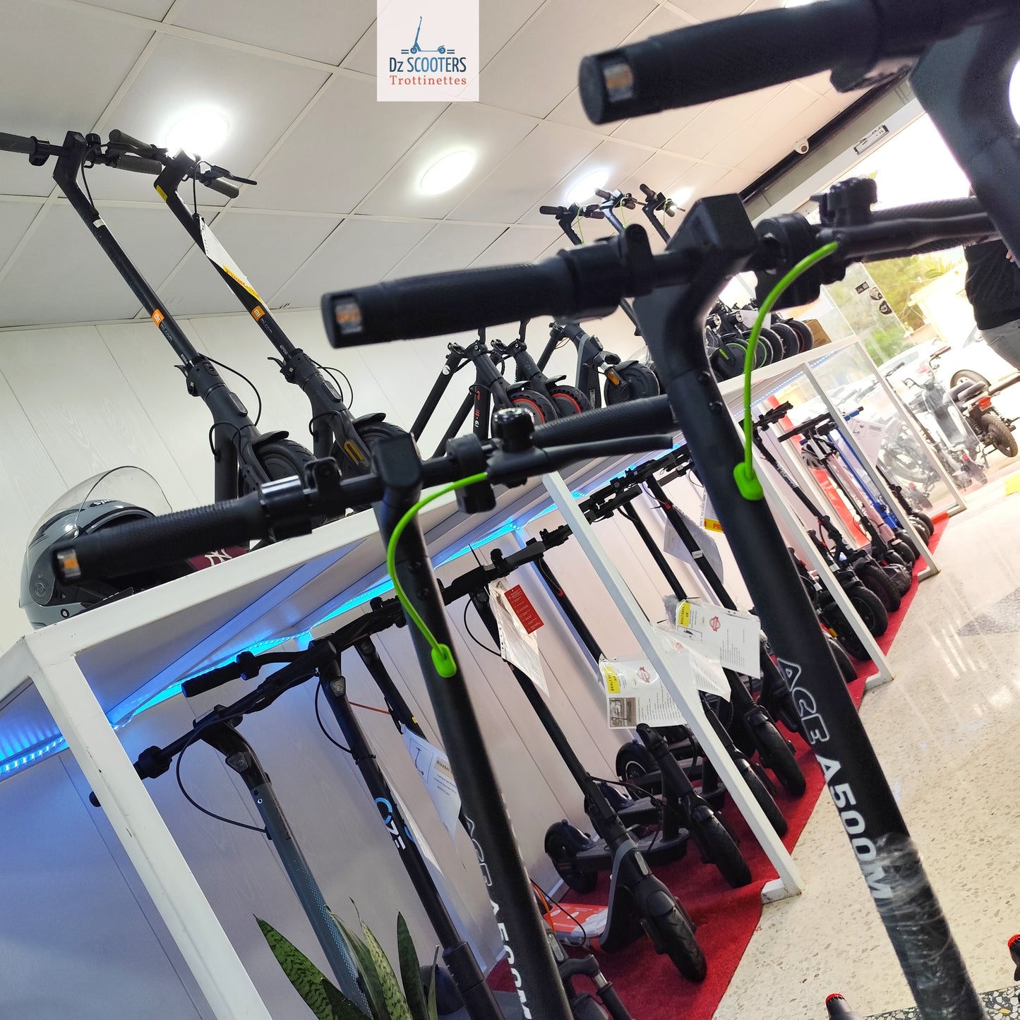 Trottinette Électrique ACE A500M