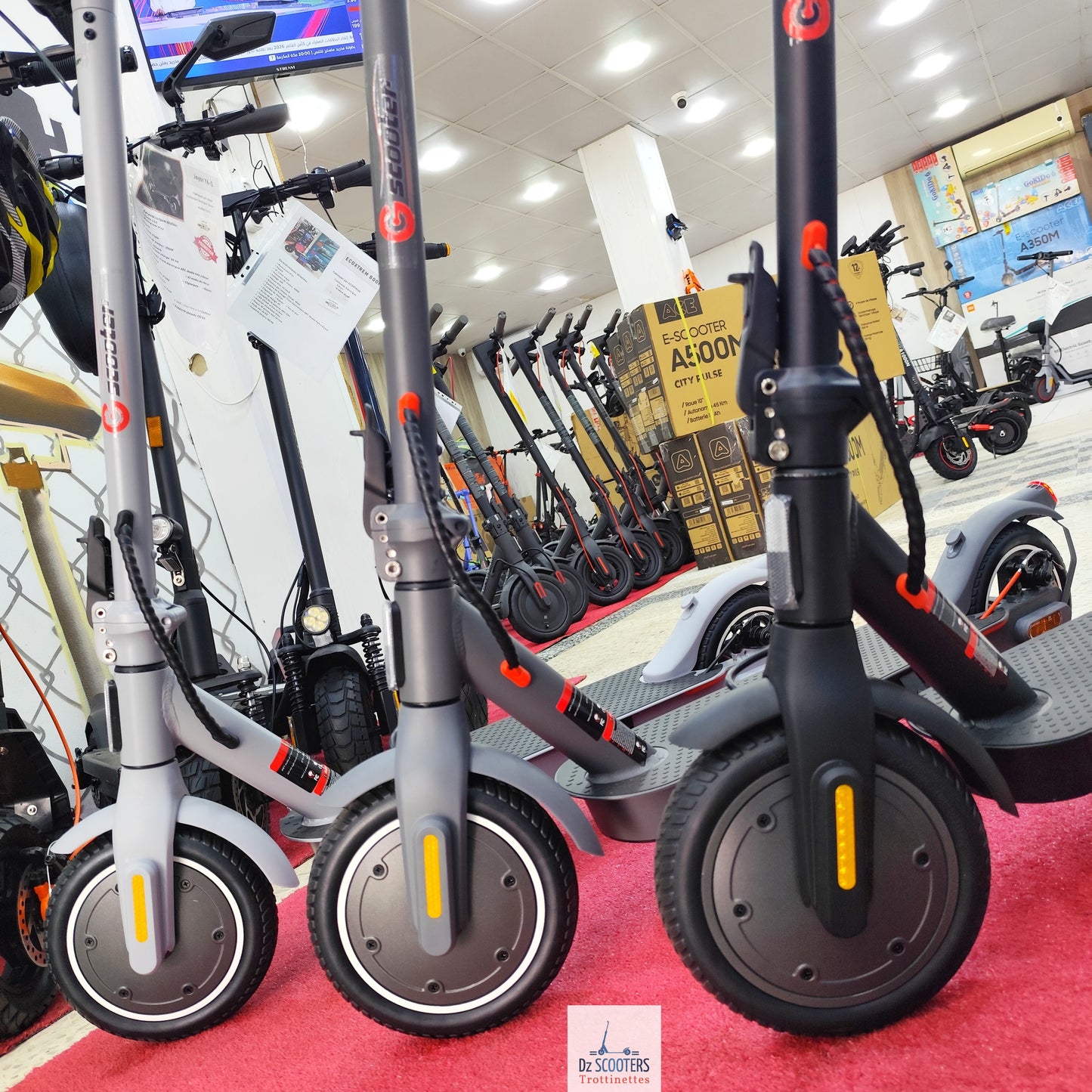Trottinette Électrique G-SCOOTER S5 Pro