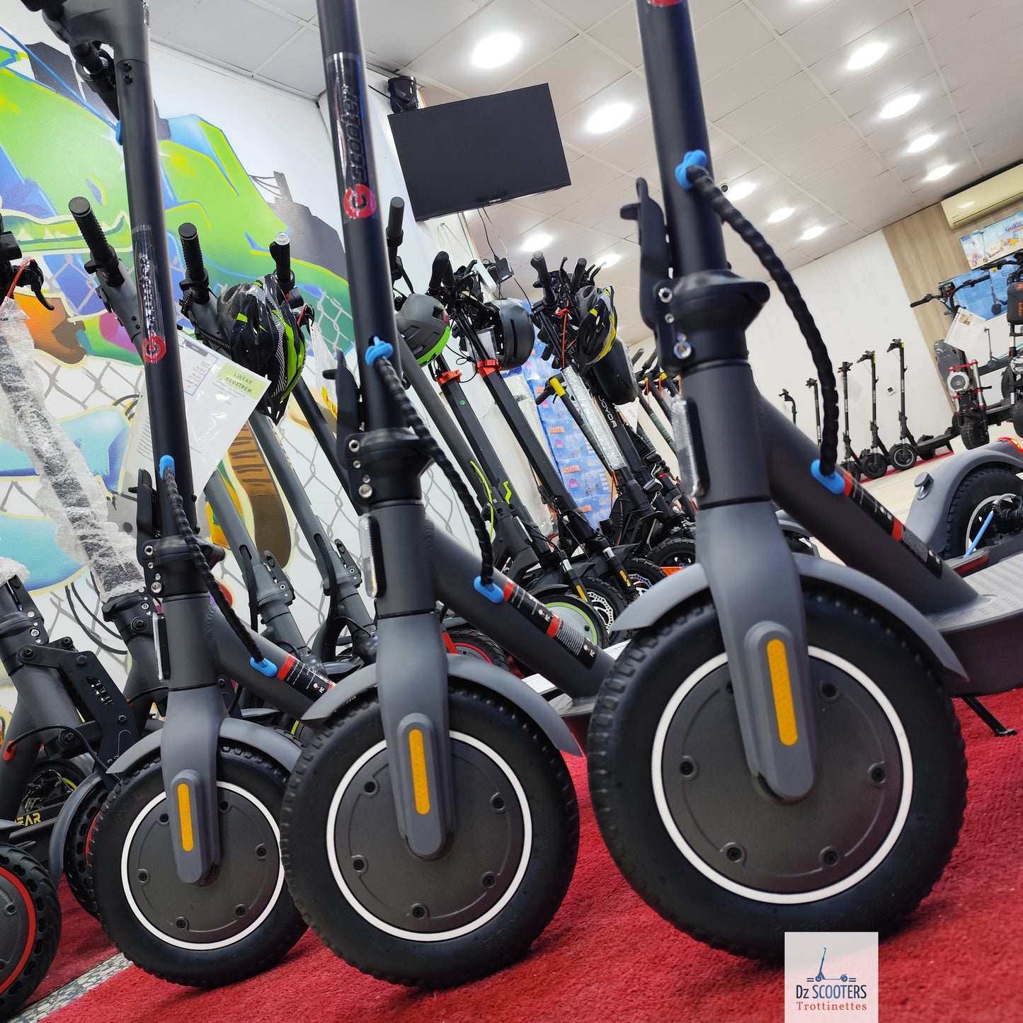 Trottinette Électrique Trotinette G-SCOOTER S5 Pro 10" pouces