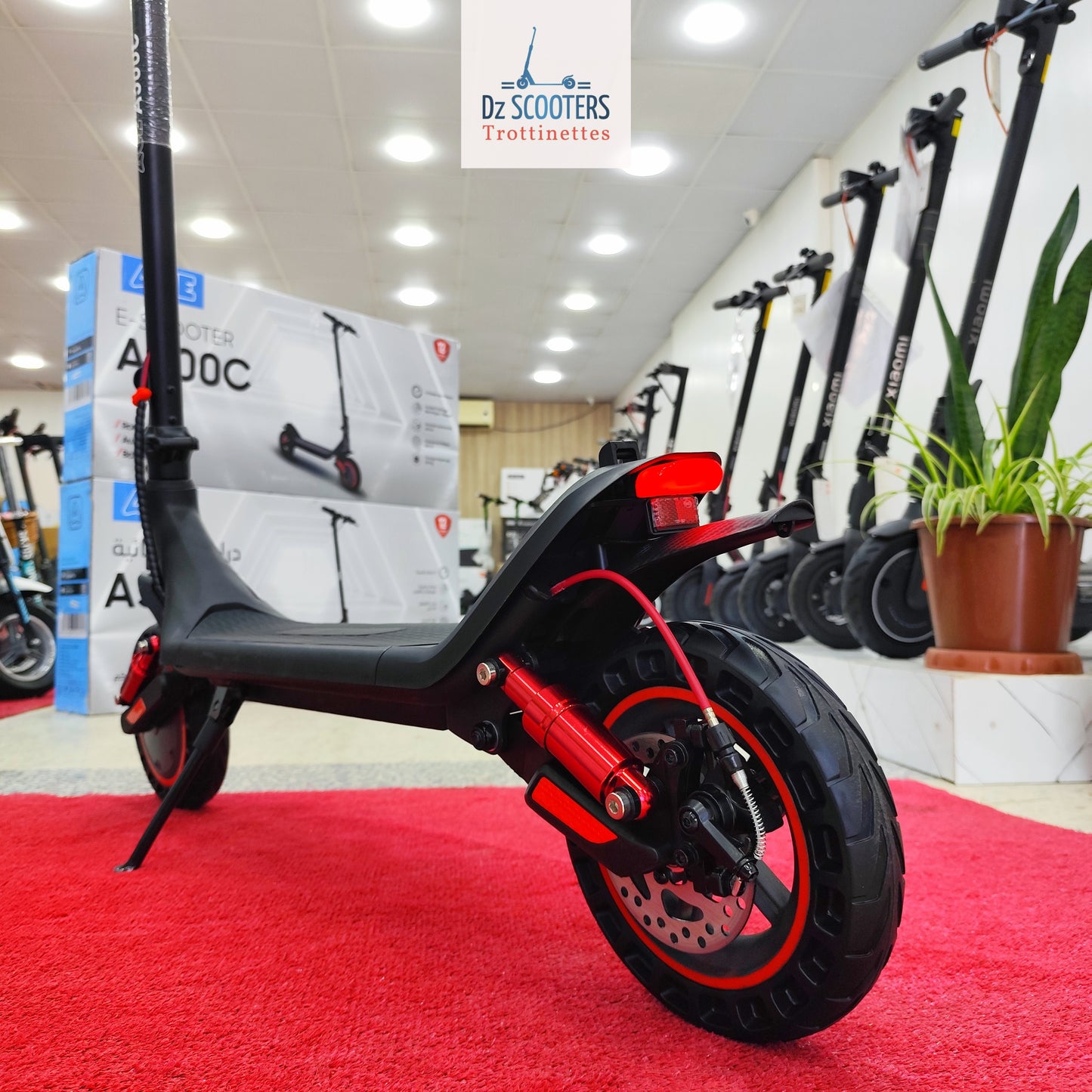 Trottinette Électrique Trotinet ACE A500C i Double Amortisseurs i Prix Choc!