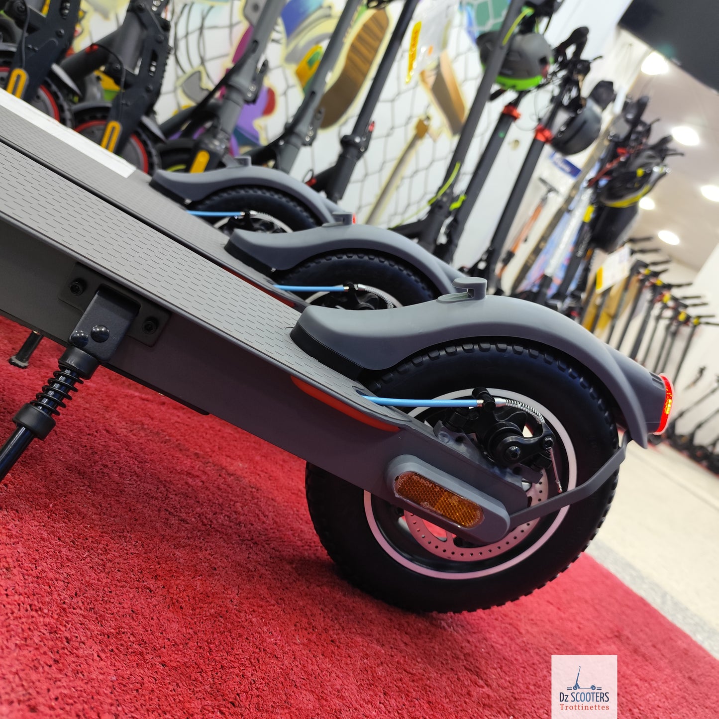 Trottinette Électrique Trotinette G-SCOOTER S5 Pro 10" pouces