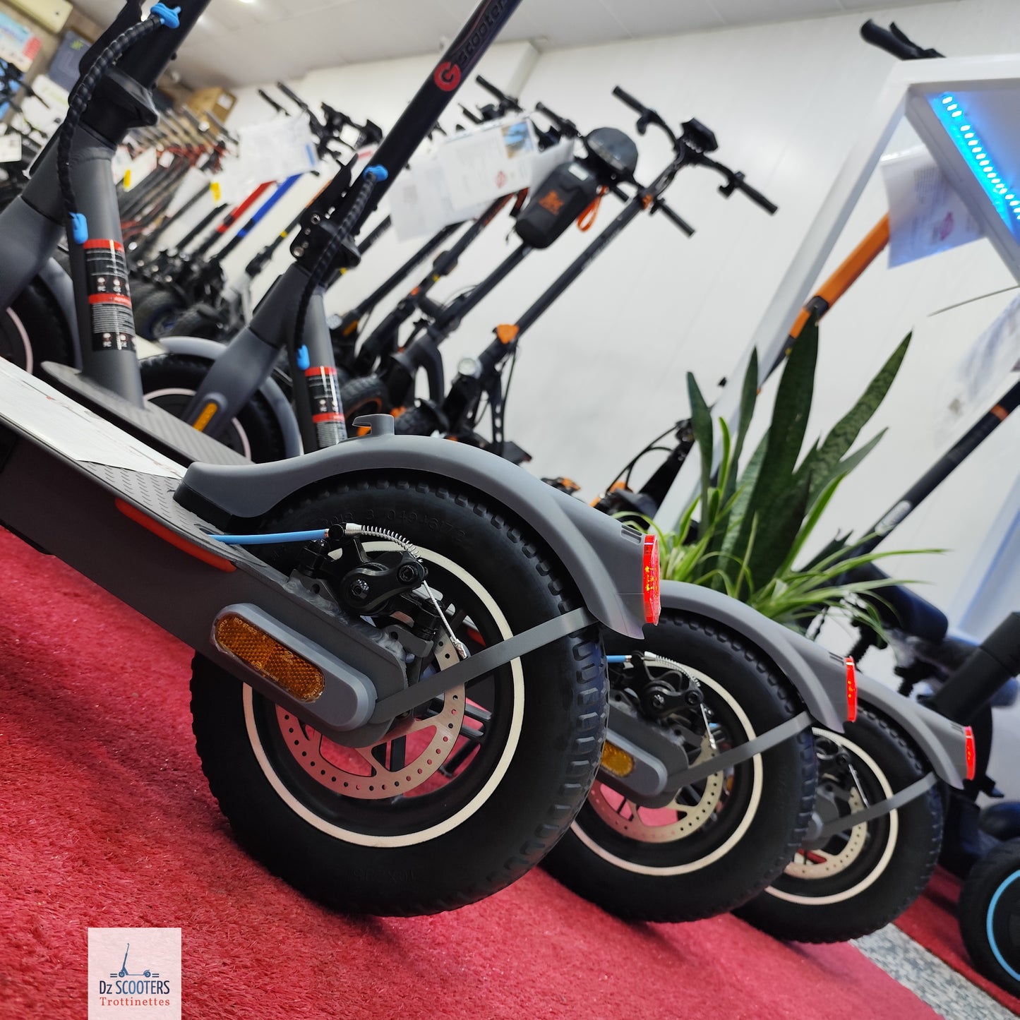 Trottinette Électrique Trotinette G-SCOOTER S5 Pro 10" pouces