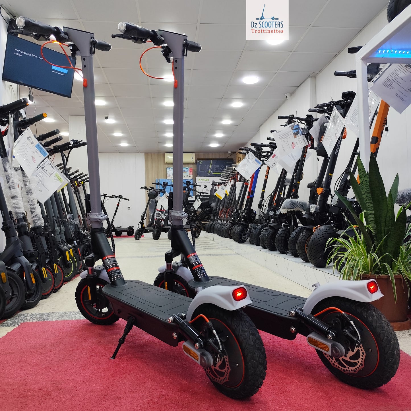 Trottinette Électrique Trotinette G-SCOOTER GS 5 Pro i Promotion!