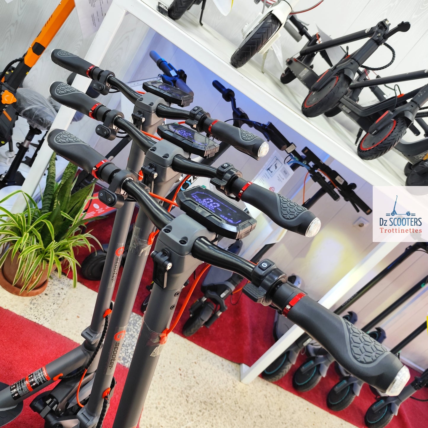 Trottinette Électrique Trotinette G-SCOOTER ULTRA i Promotion!
