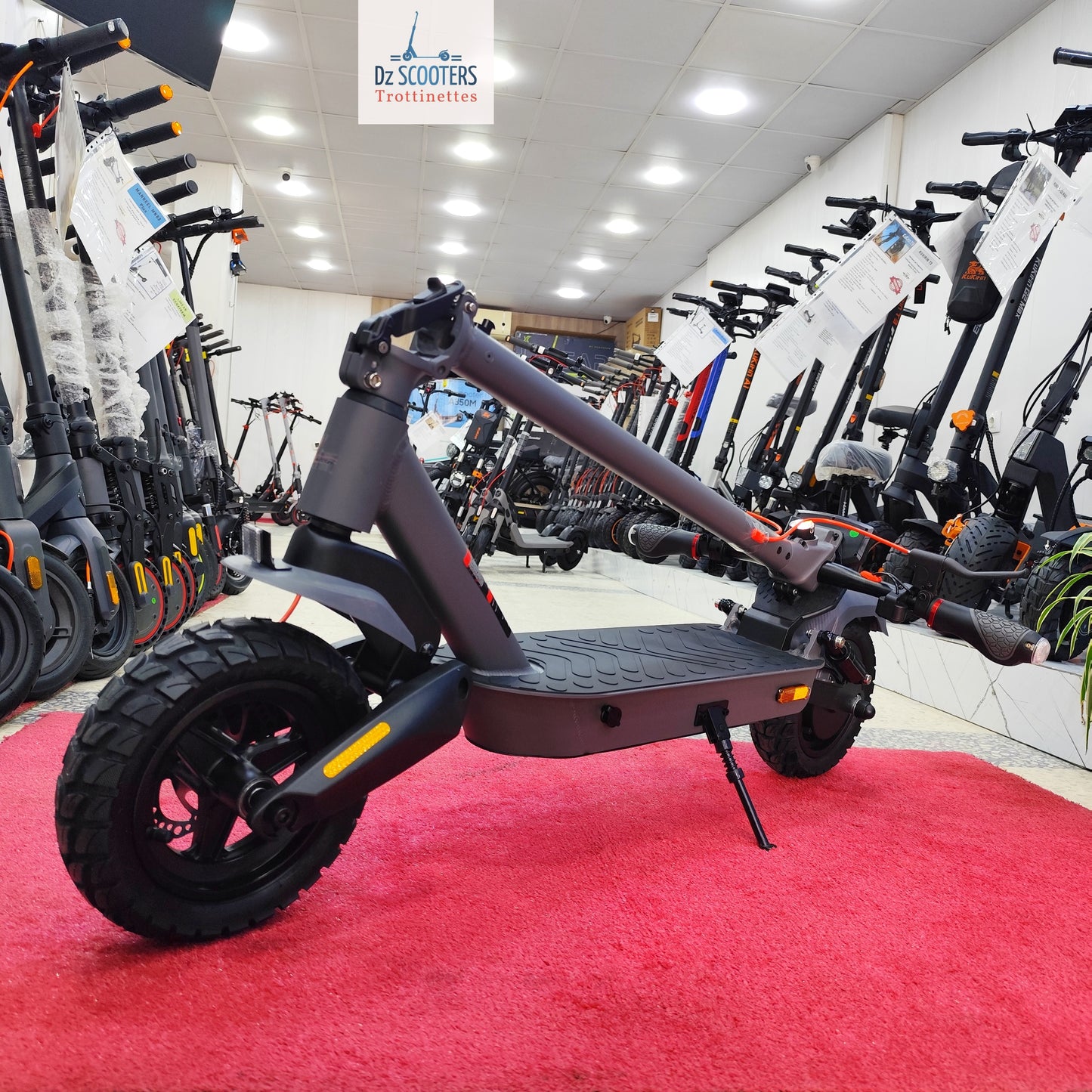 Trottinette Électrique Trotinette G-SCOOTER ULTRA i Promotion!