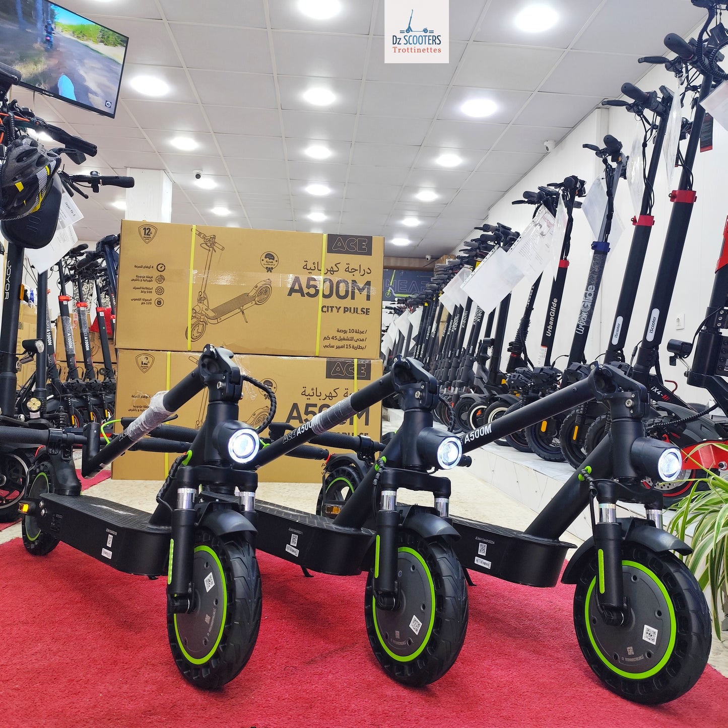 Trottinette Électrique ACE A500M