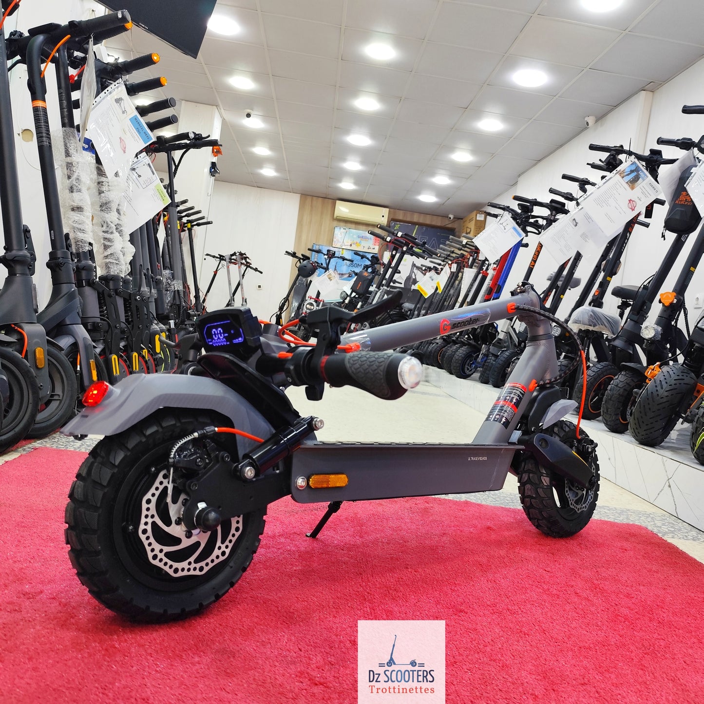 Trottinette Électrique Trotinette G-SCOOTER ULTRA i Promotion!
