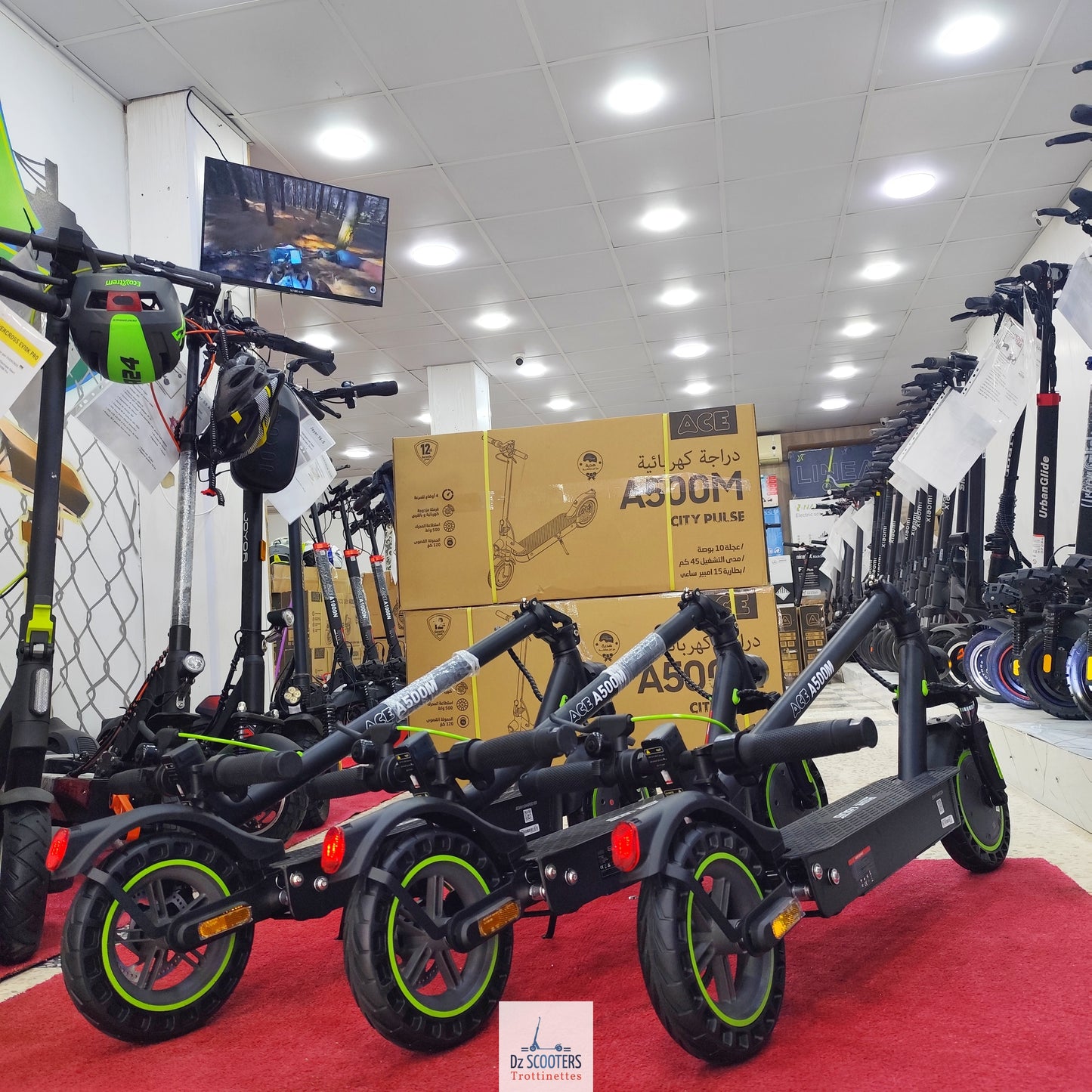 Trottinette Électrique ACE A500M