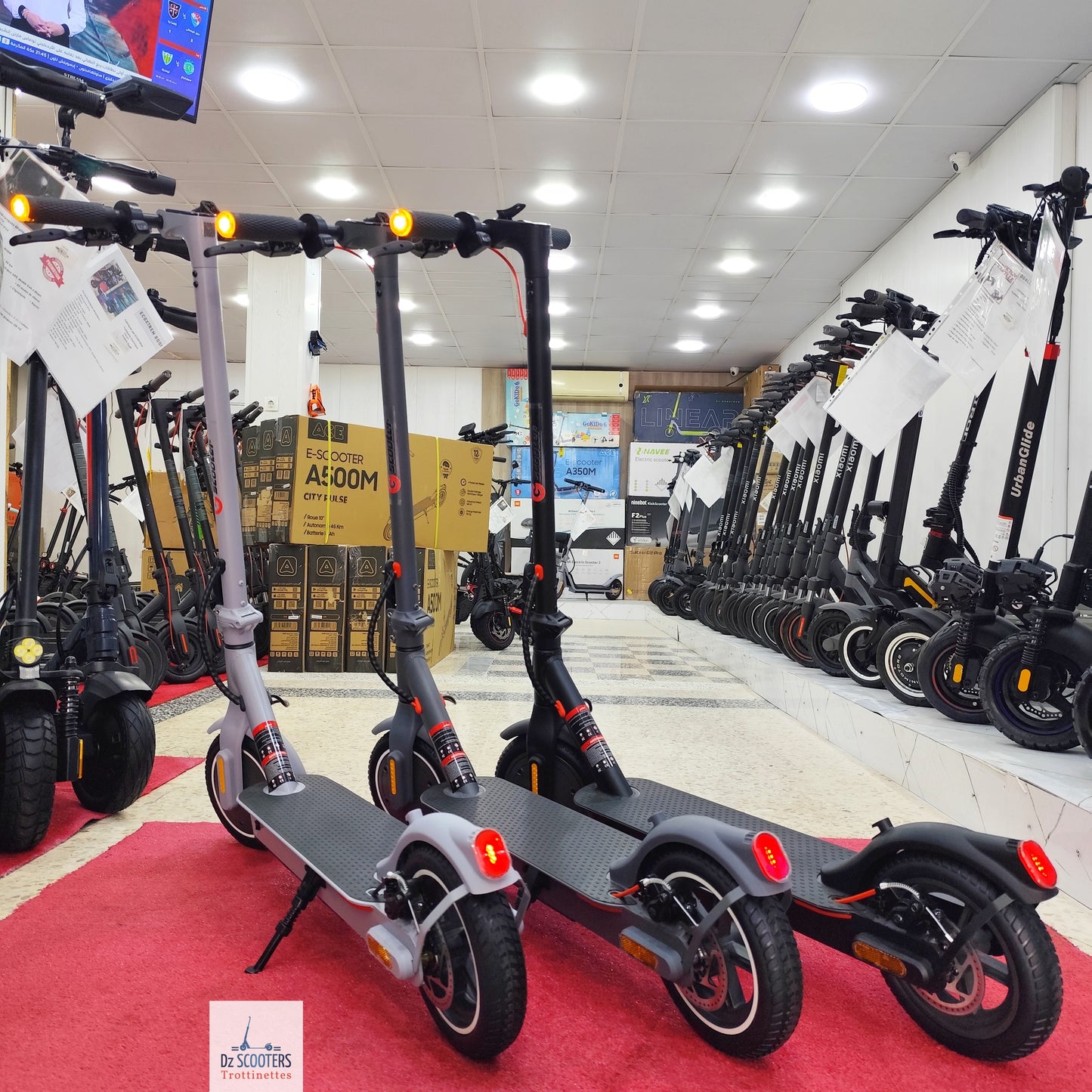 Trottinette Électrique G-SCOOTER S5 Pro