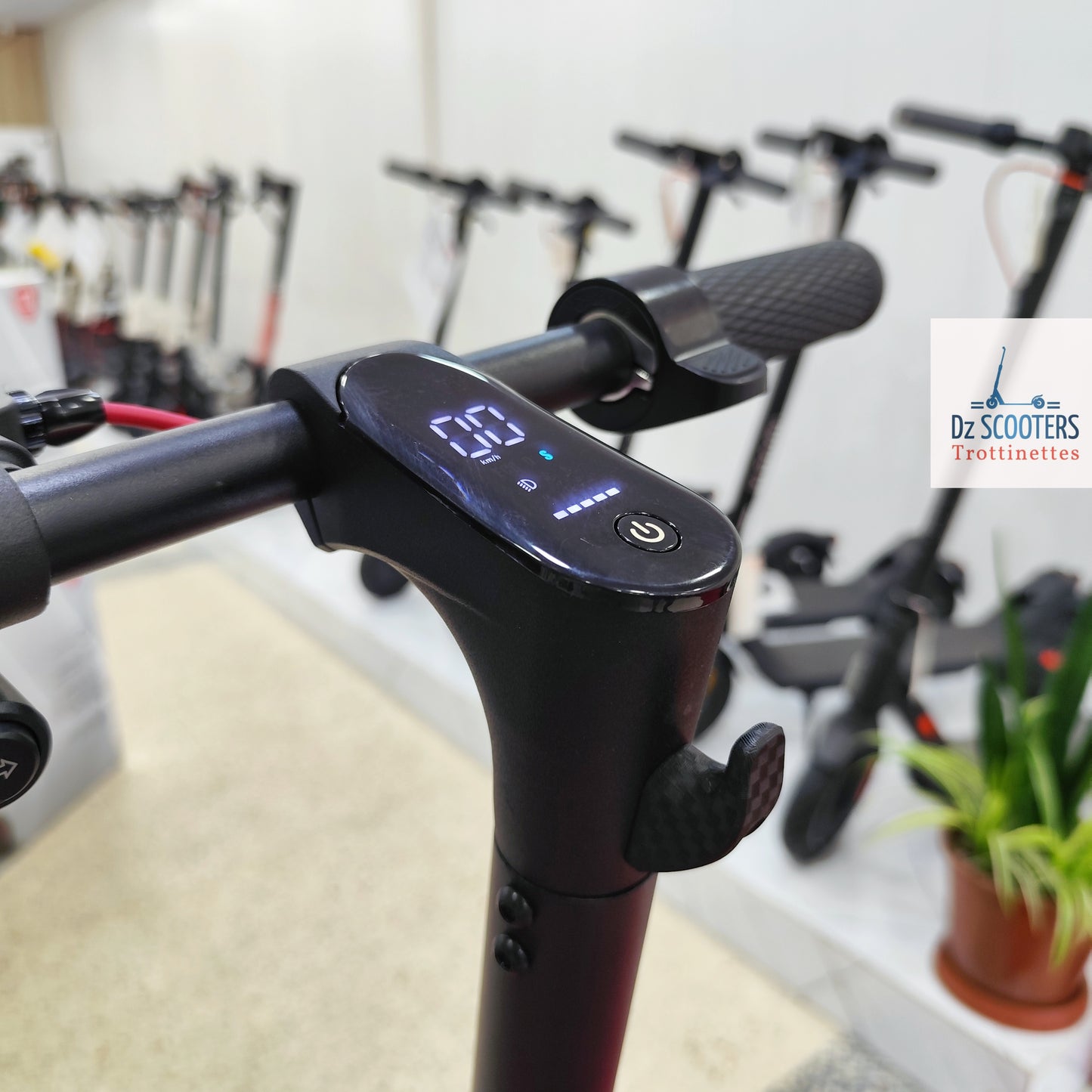 Trottinette Électrique Trotinet ACE A500C i Double Amortisseurs i Prix Choc!