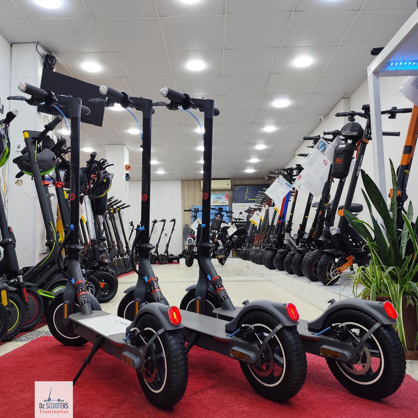 Trottinette Électrique Trotinette G-SCOOTER S5 Pro 10" pouces