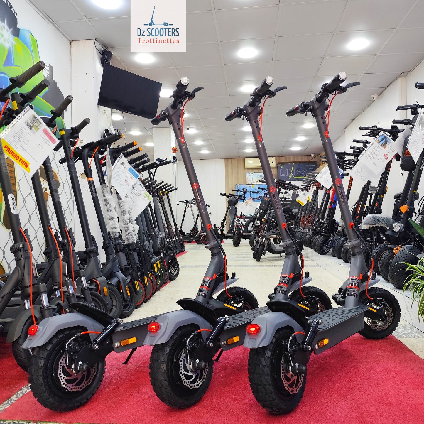 Trottinette Électrique Trotinette G-SCOOTER ULTRA i Promotion!